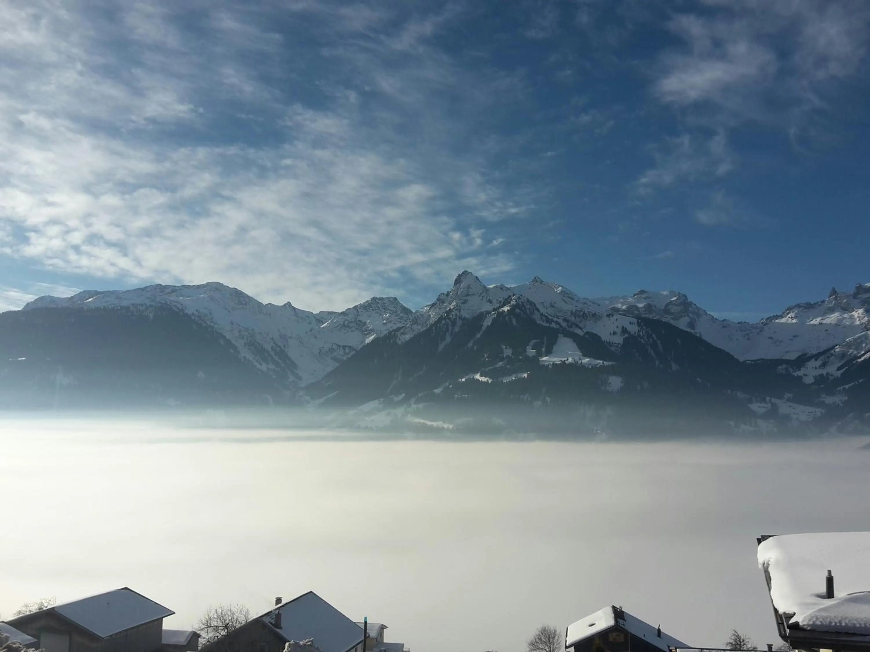 View (from property/room) in Hotel Bergerhof