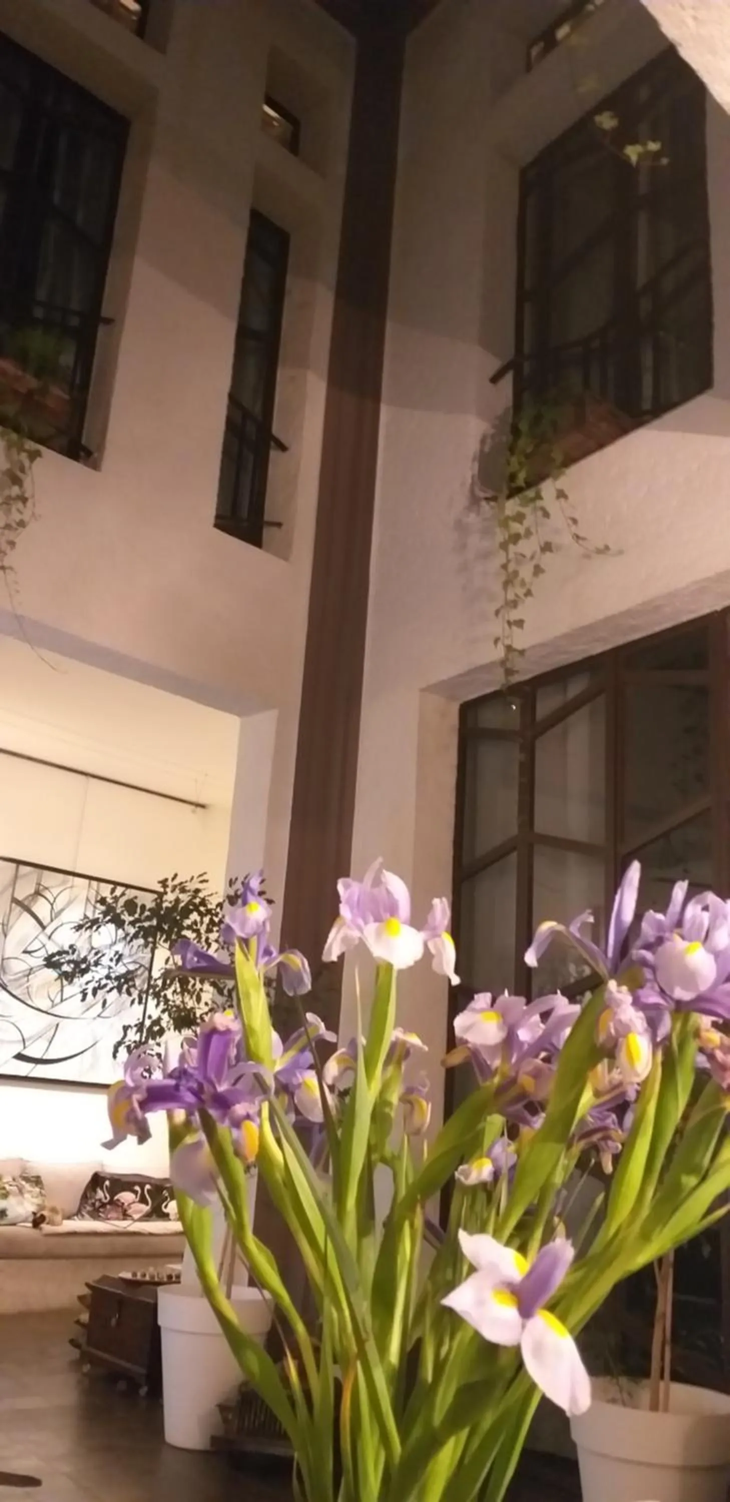 Facade/entrance in Dar d'Art