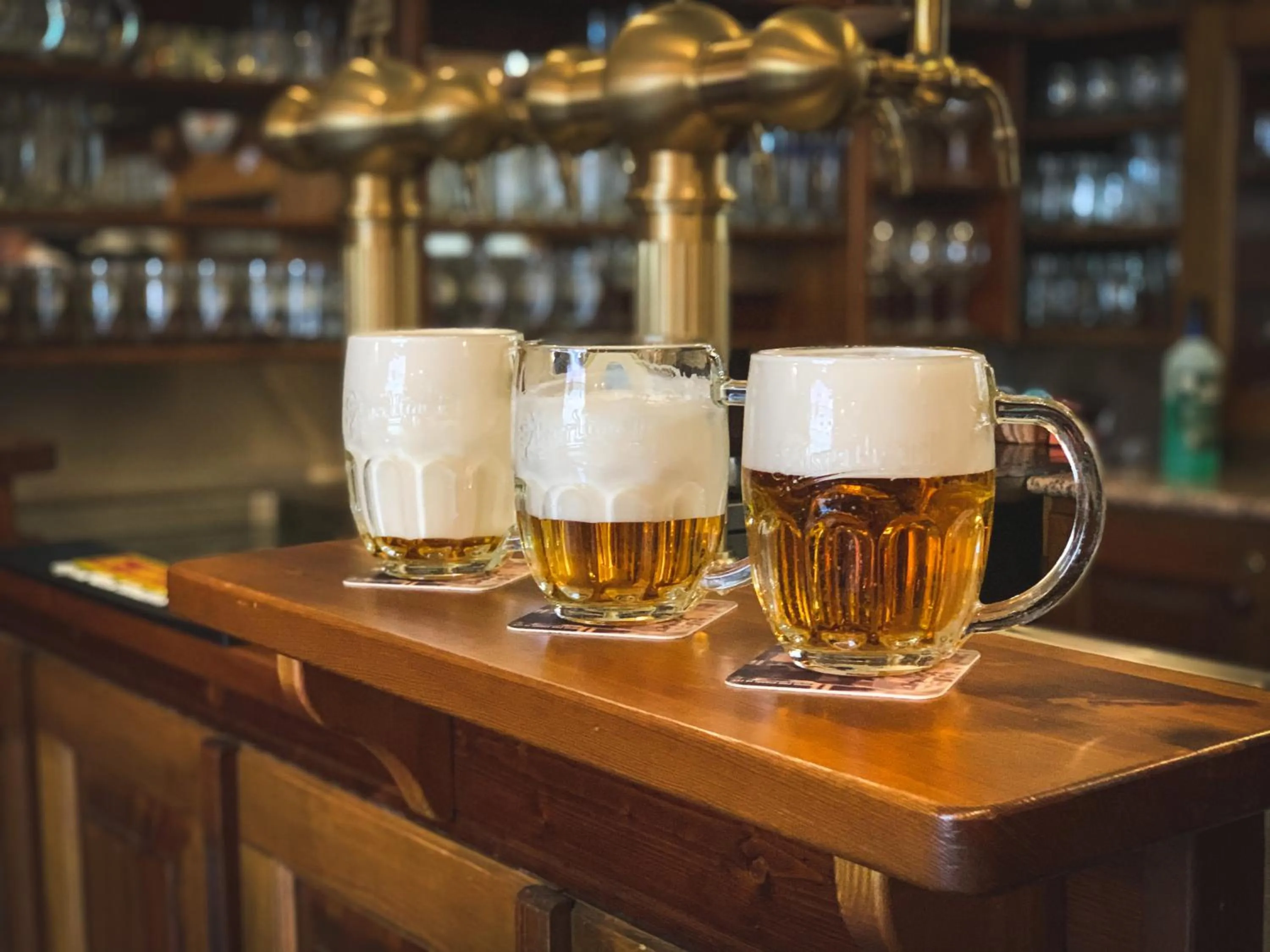 Hotel U Zeleneho stromu