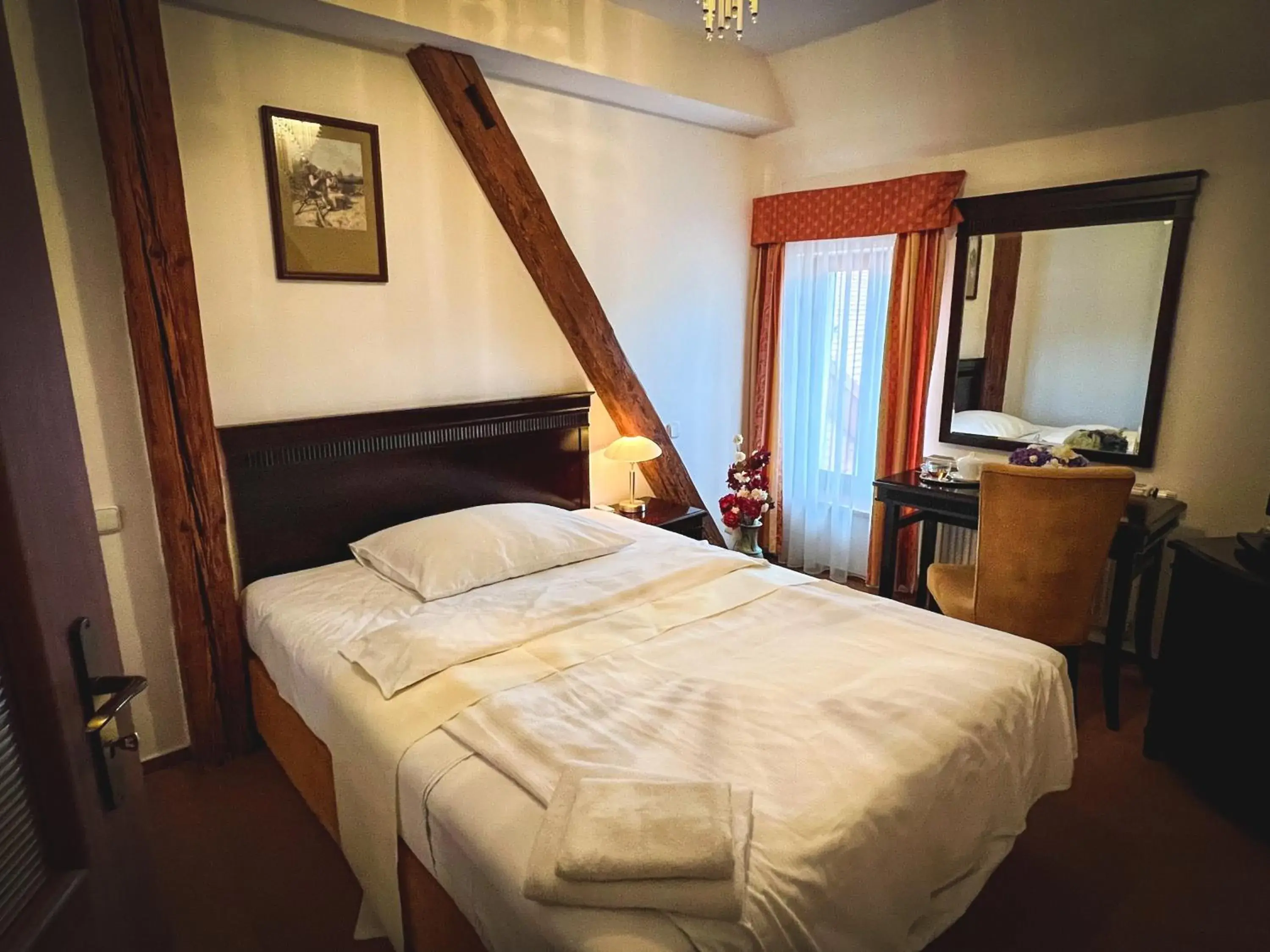 Single Room in Hotel U Zeleneho stromu Single Room in Hotel U Zeleneho stromu