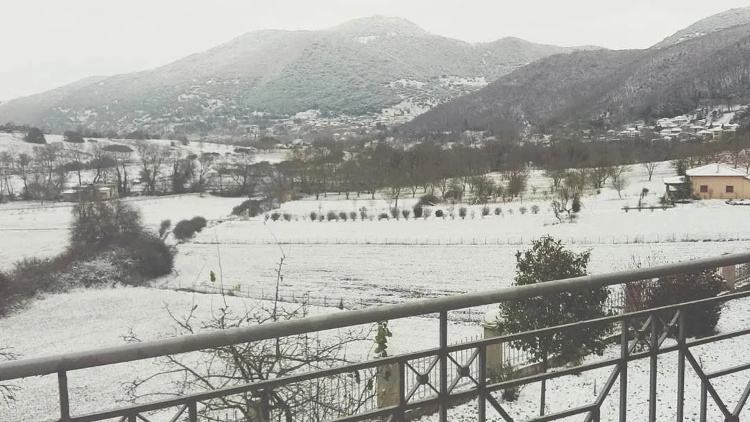 Property building in Manesi Apartments