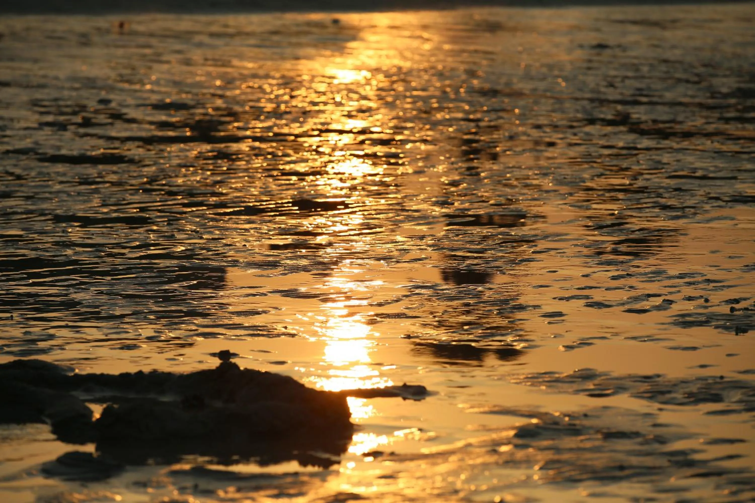 Beach in Lunamar Pension