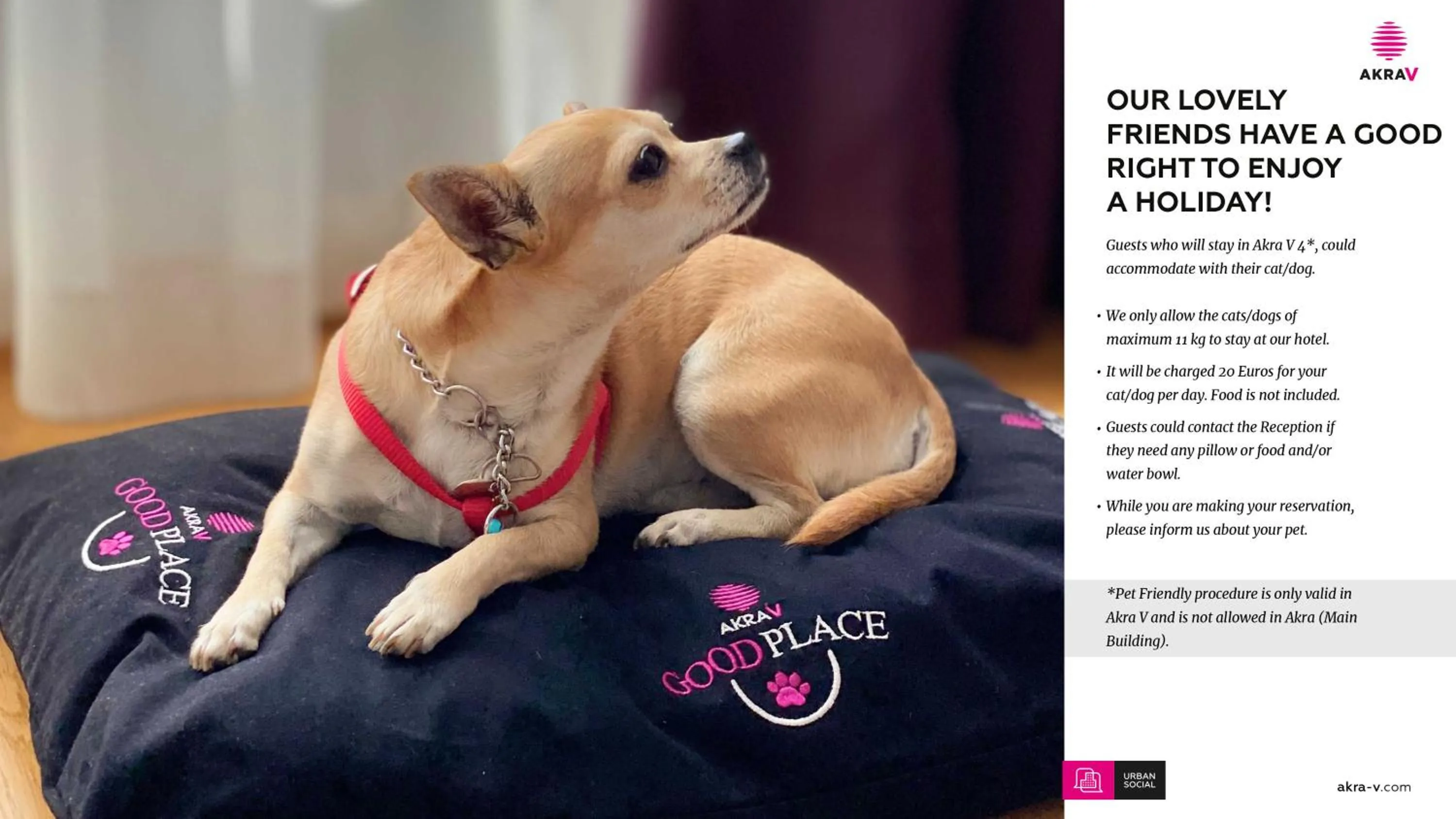 Pets in Akra V - Access to Akra Antalya