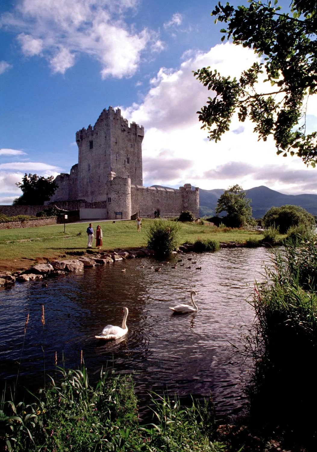 Area and facilities in Ardree House B&B