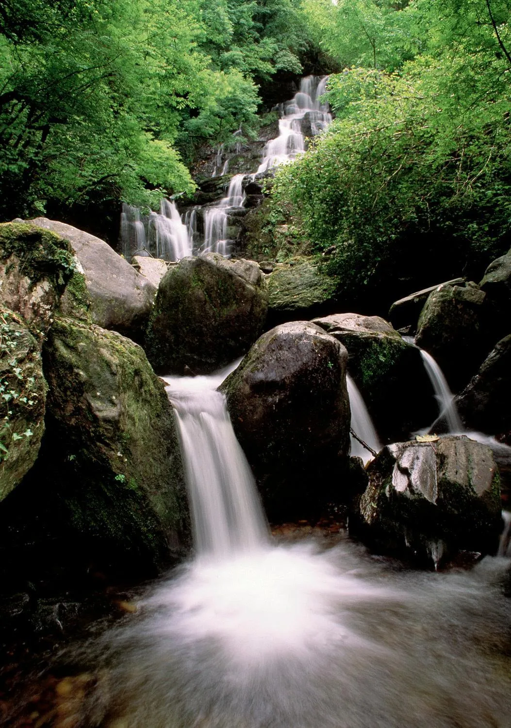 Area and facilities in Ardree House B&B