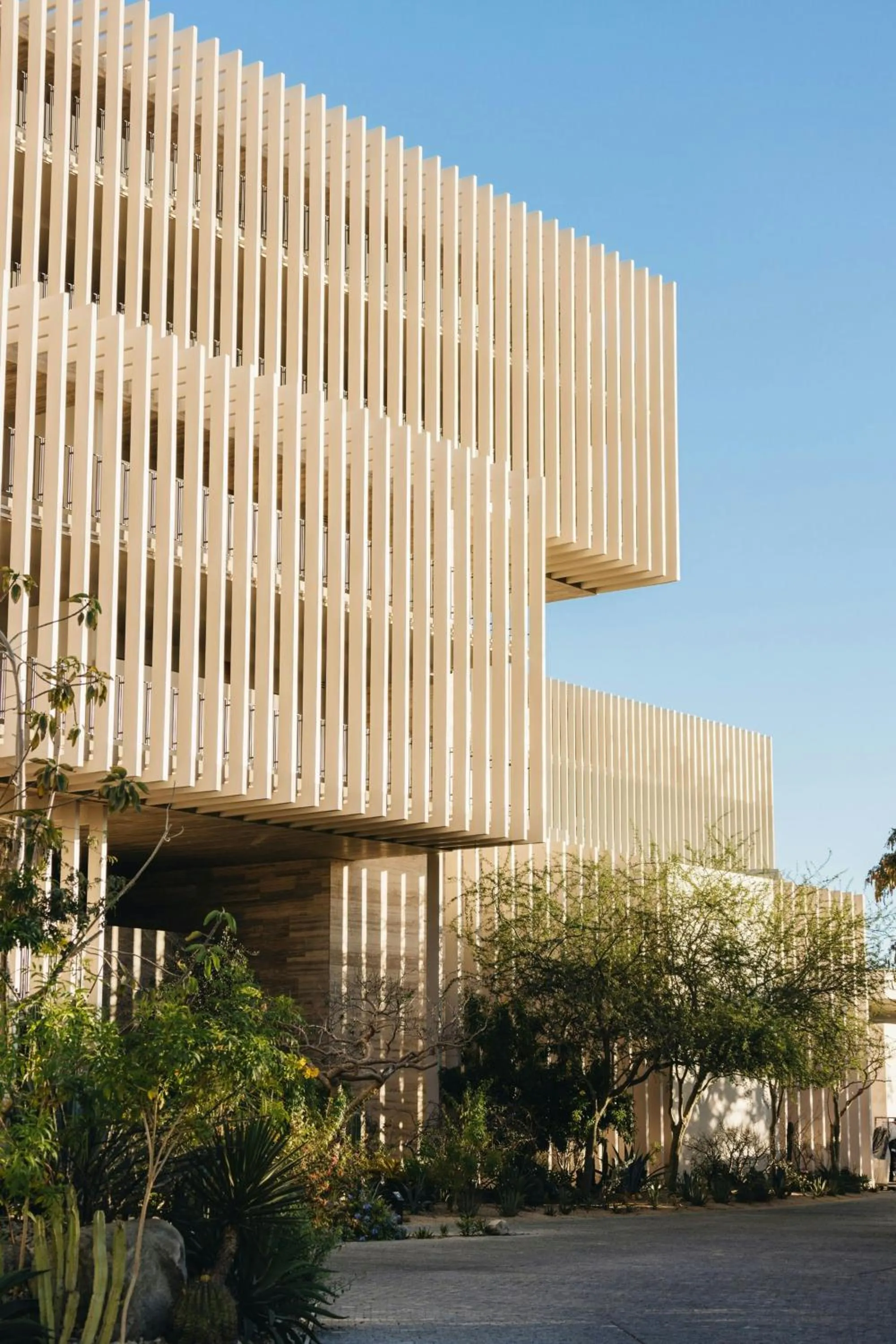 View (from property/room) in Solaz, a Luxury Collection Resort, Los Cabos