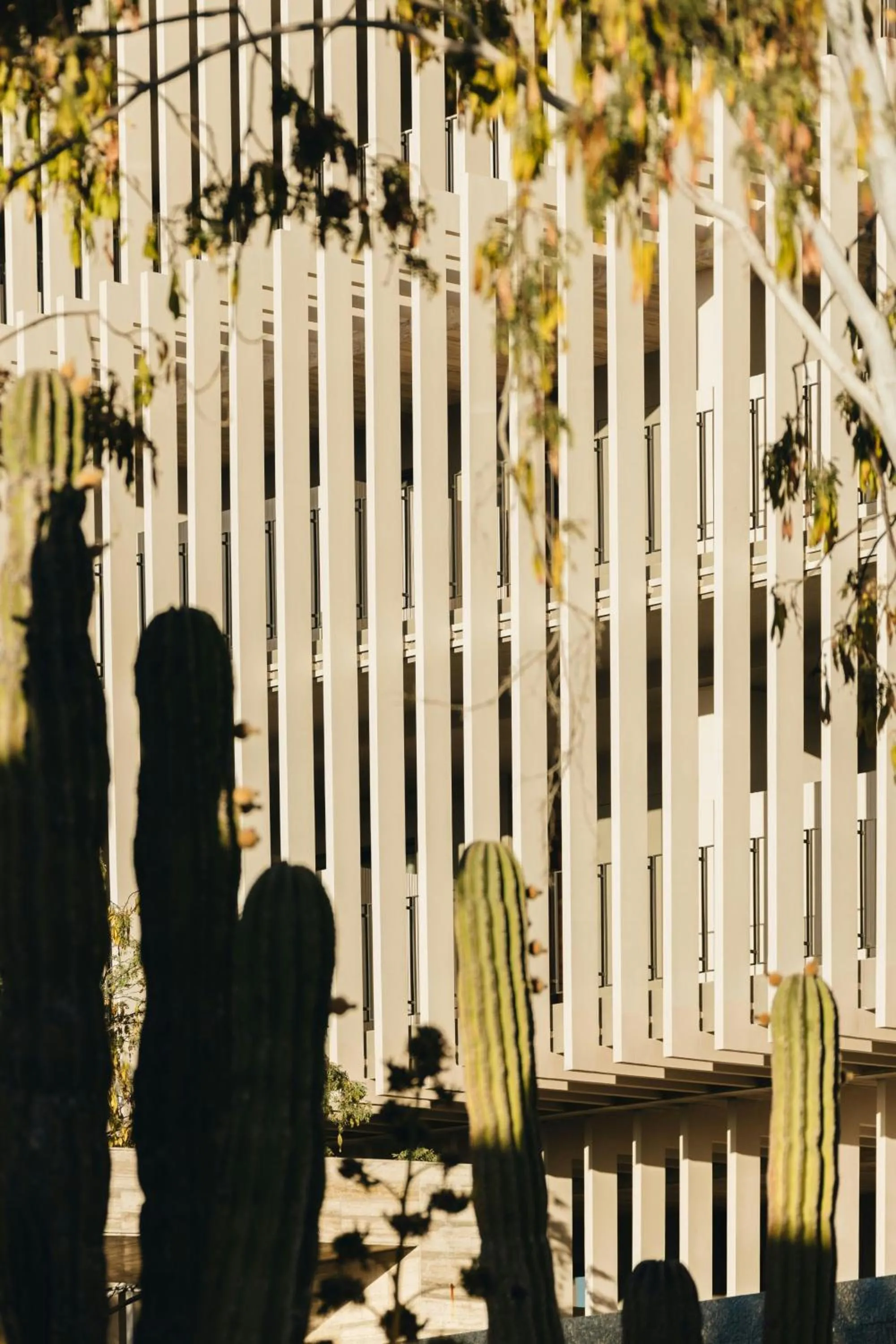 Property building in Solaz, a Luxury Collection Resort, Los Cabos