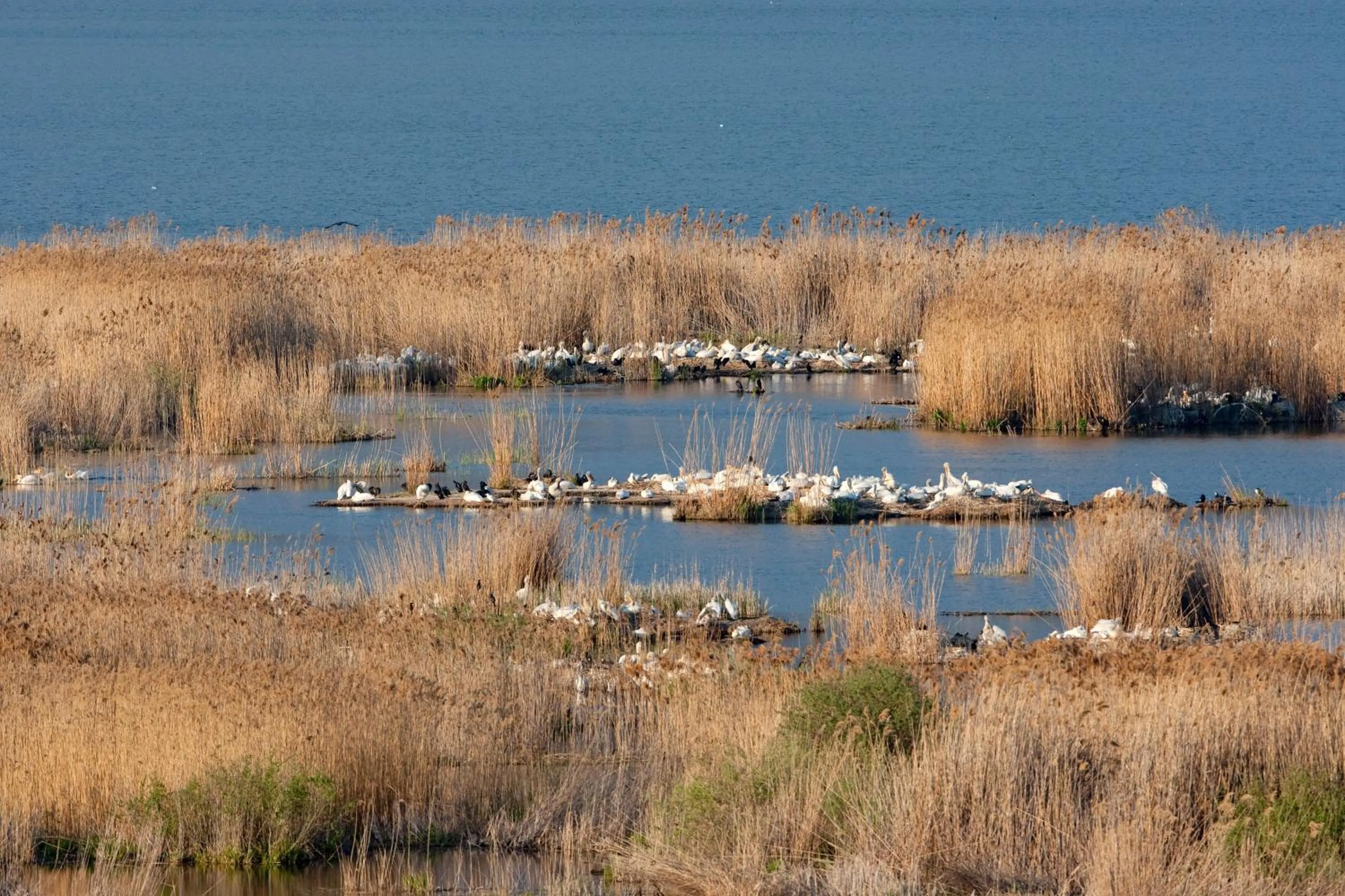 Natural landscape in Agios Germanos