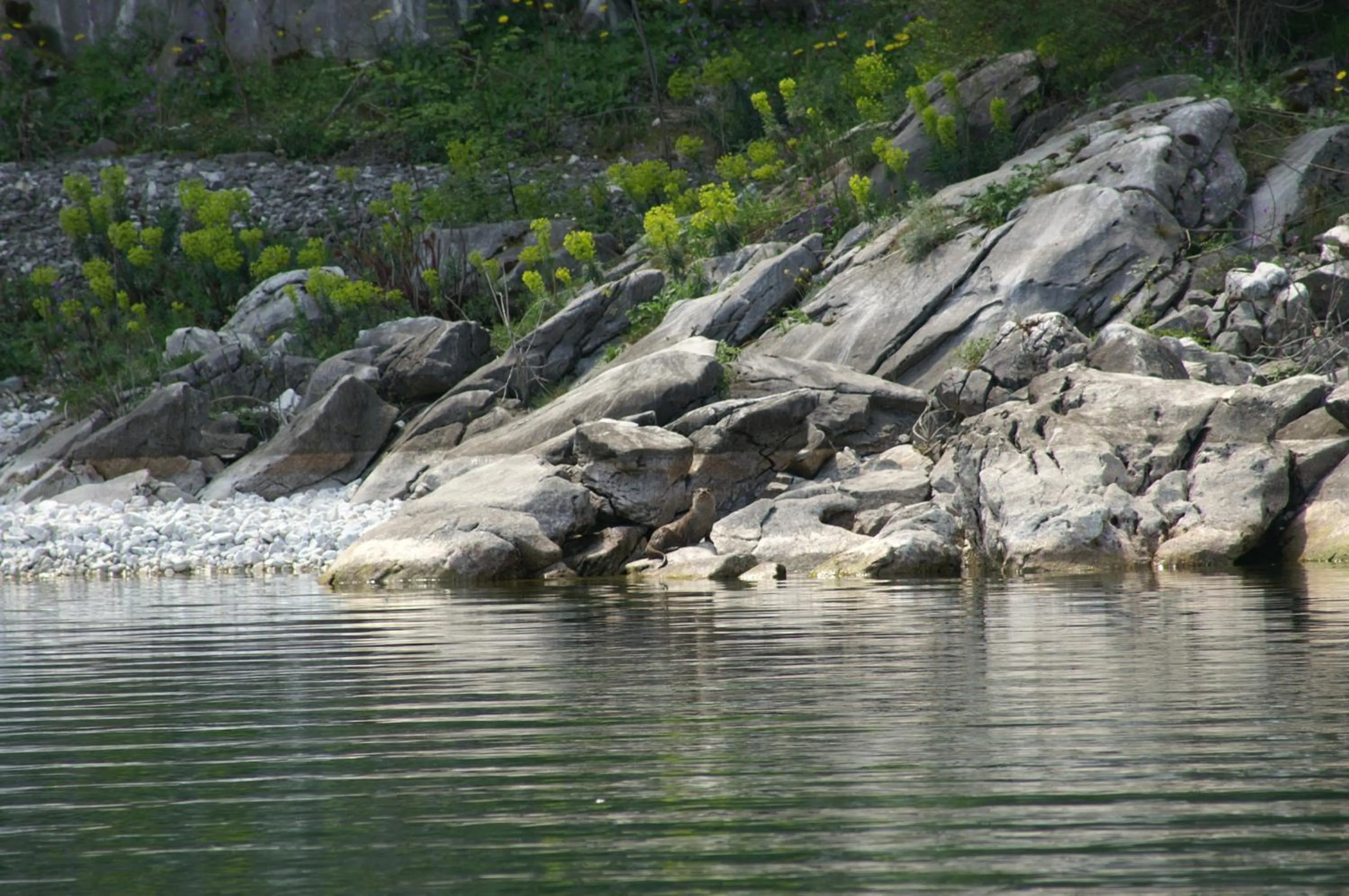 Natural landscape in Agios Germanos