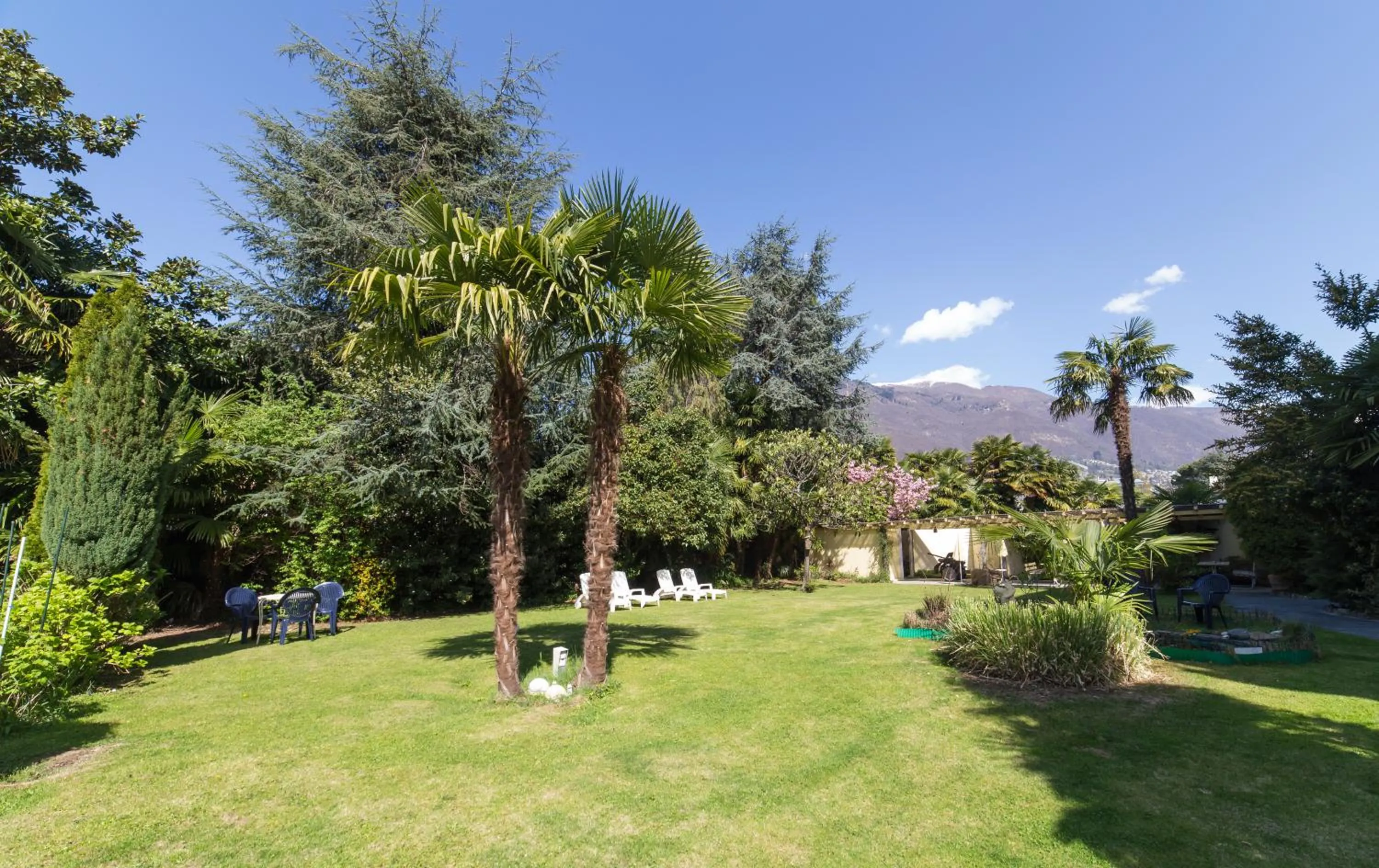 Garden in Hotel Luna Garni