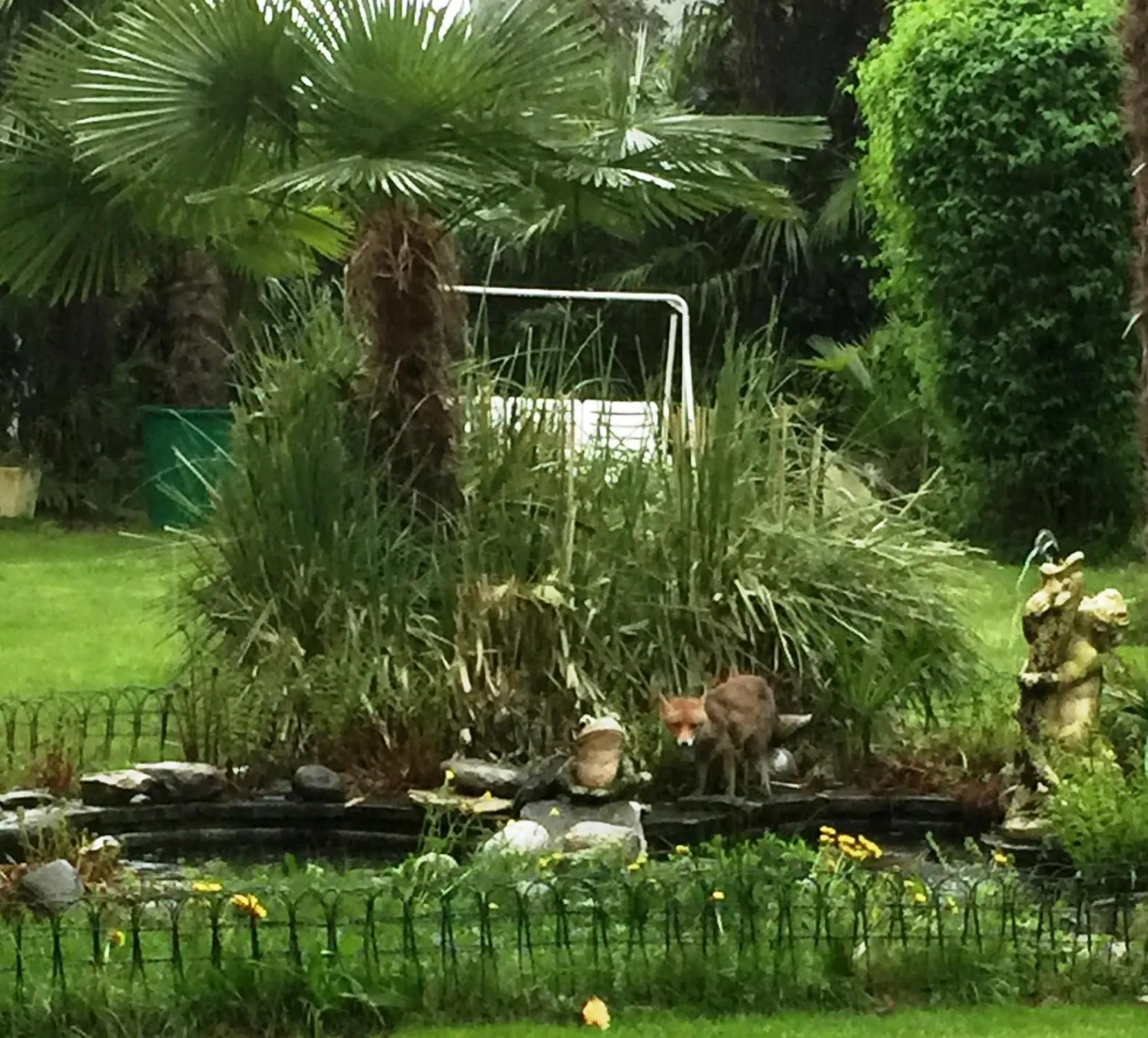 Garden in Hotel Luna Garni