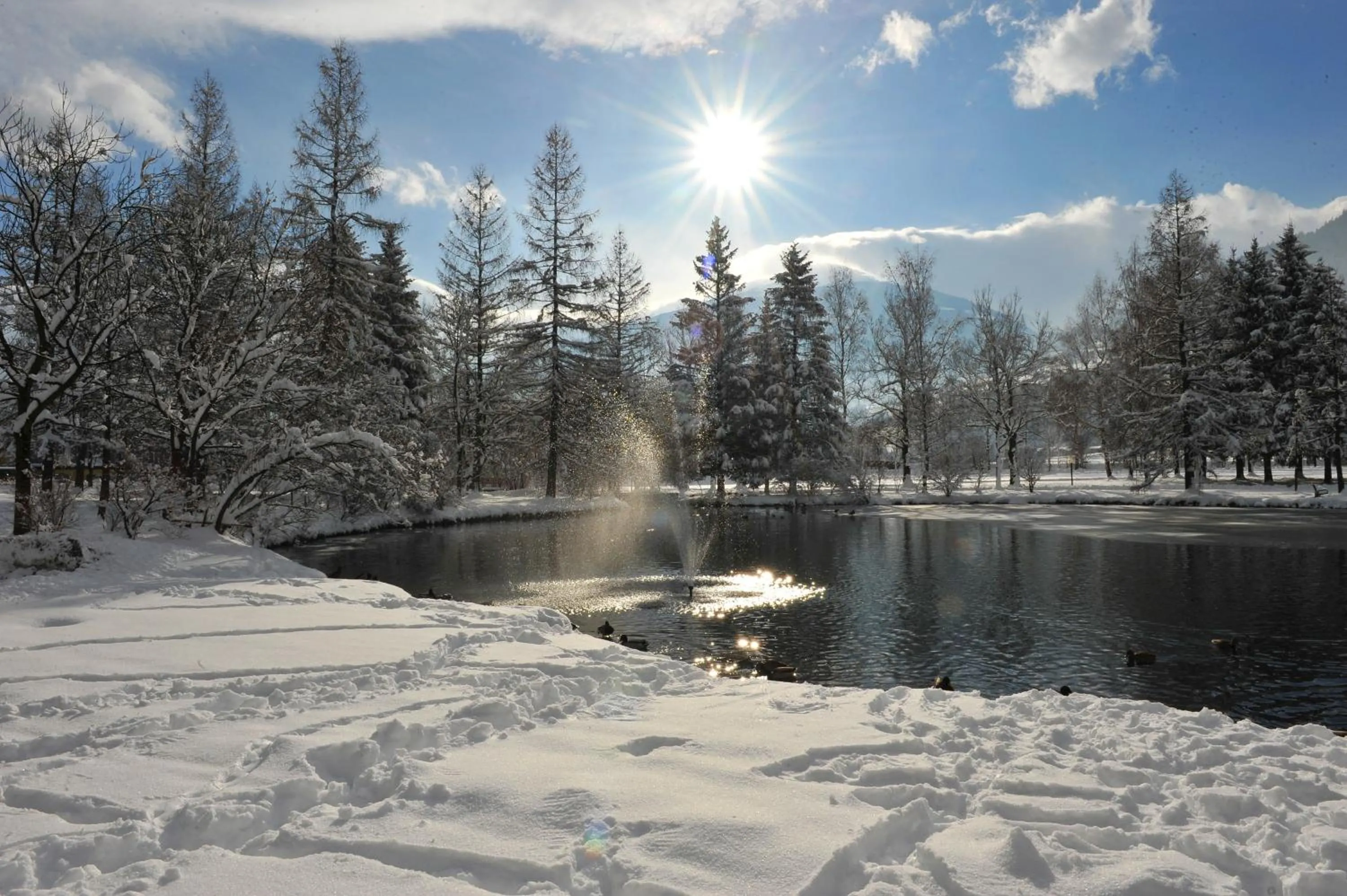 Natural landscape in Hotel Völserhof