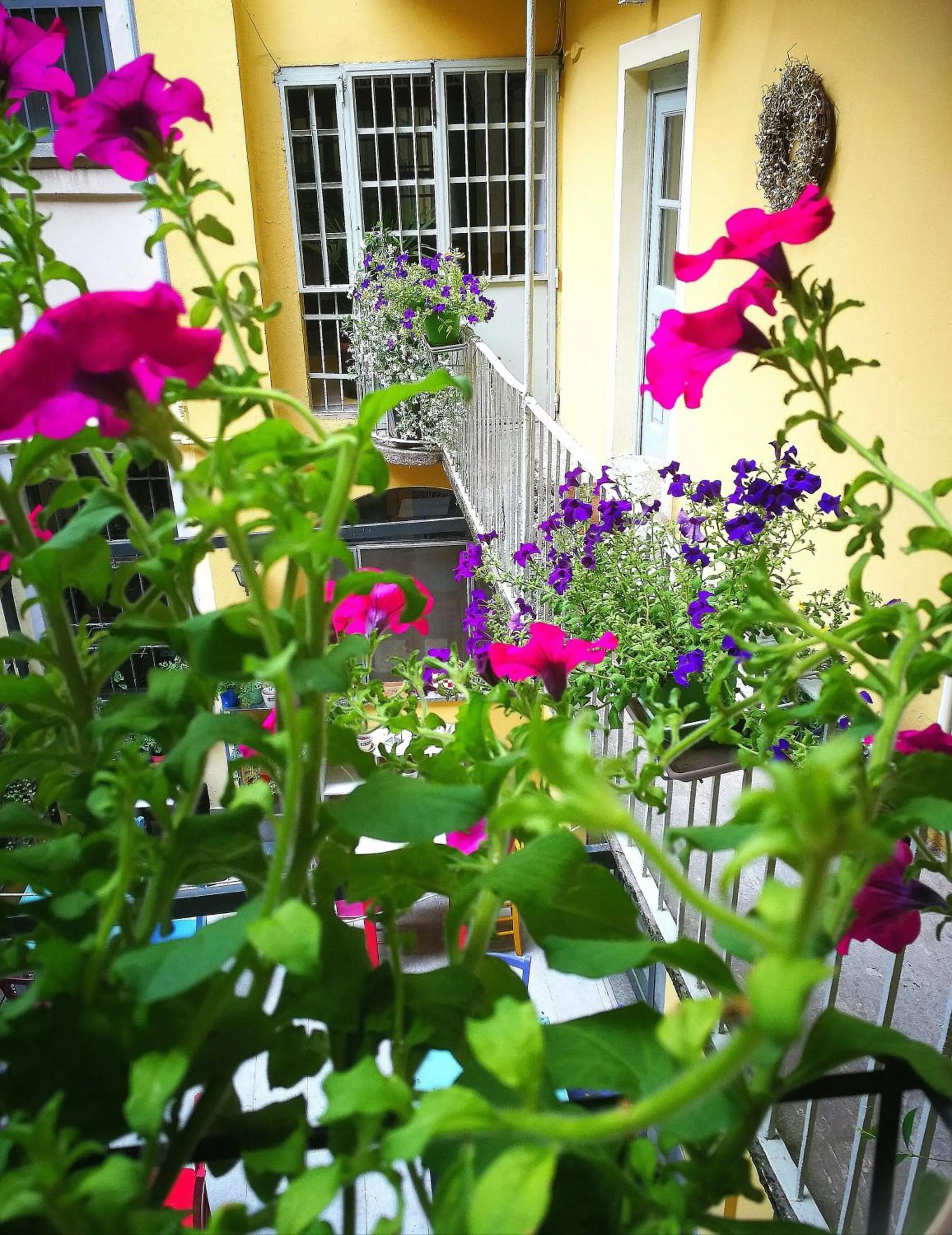 Facade/entrance in Casa del Cuore