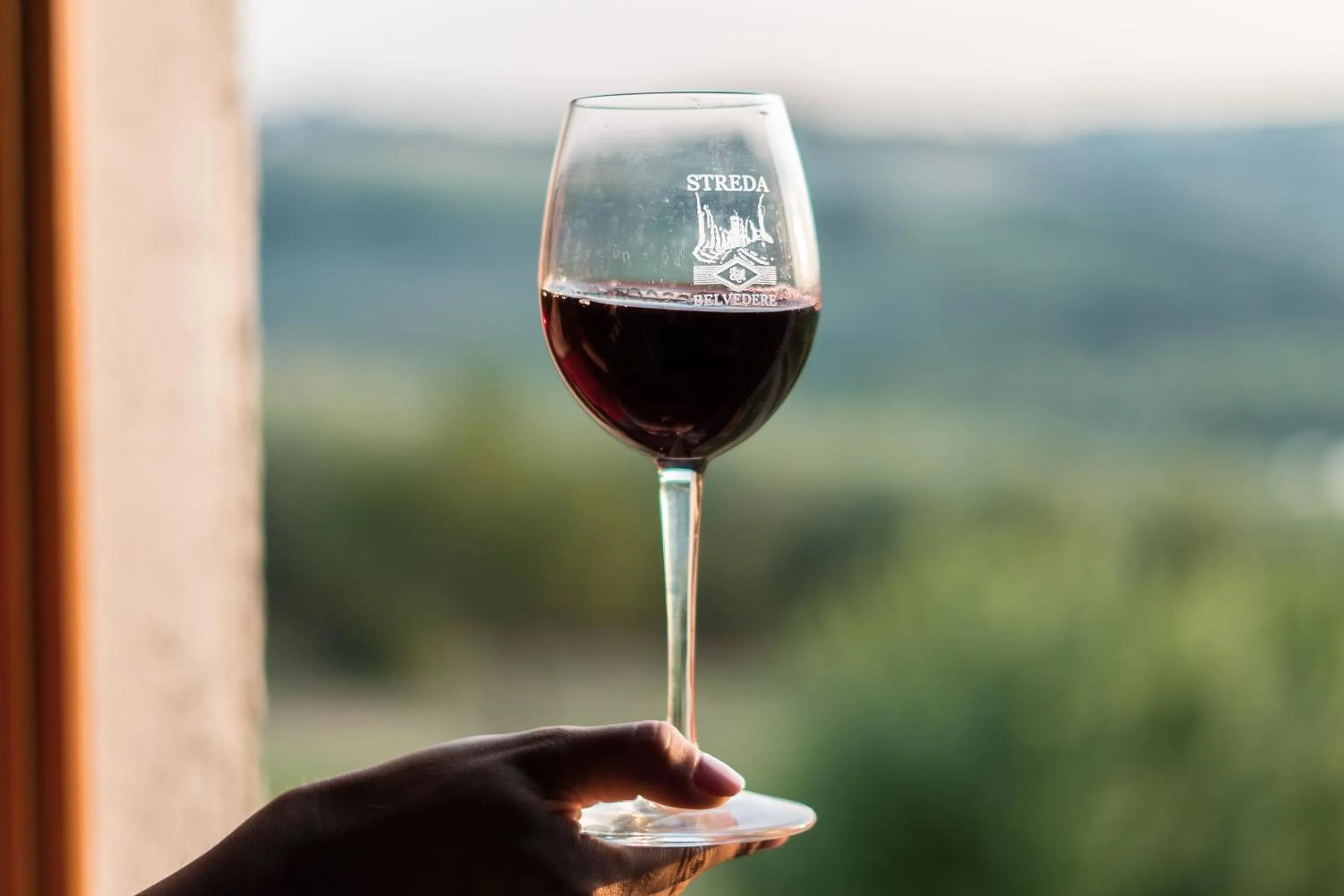 Activities in Agriturismo Streda Wine & Country Holiday