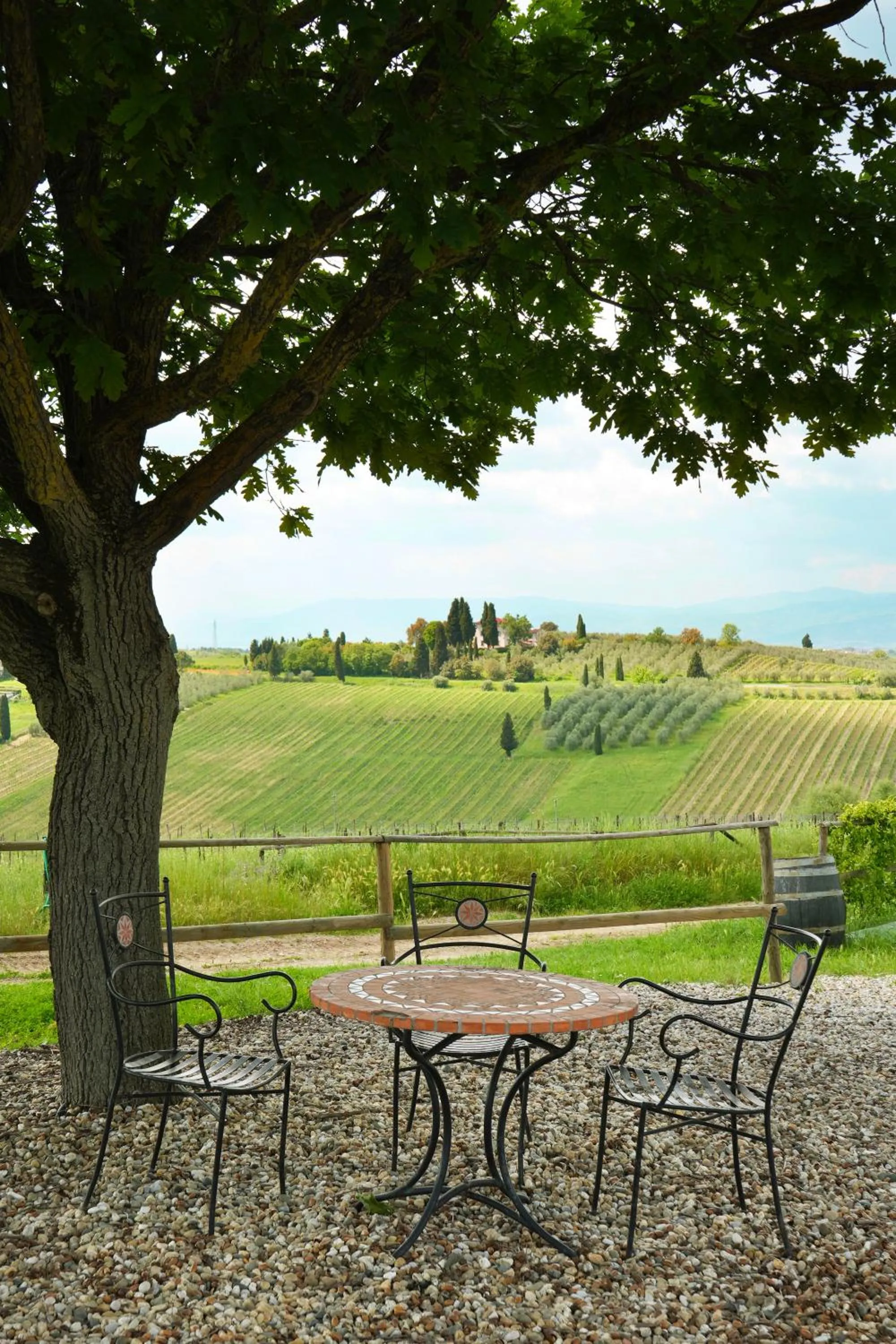 View (from property/room) in Agriturismo Streda Wine & Country Holiday