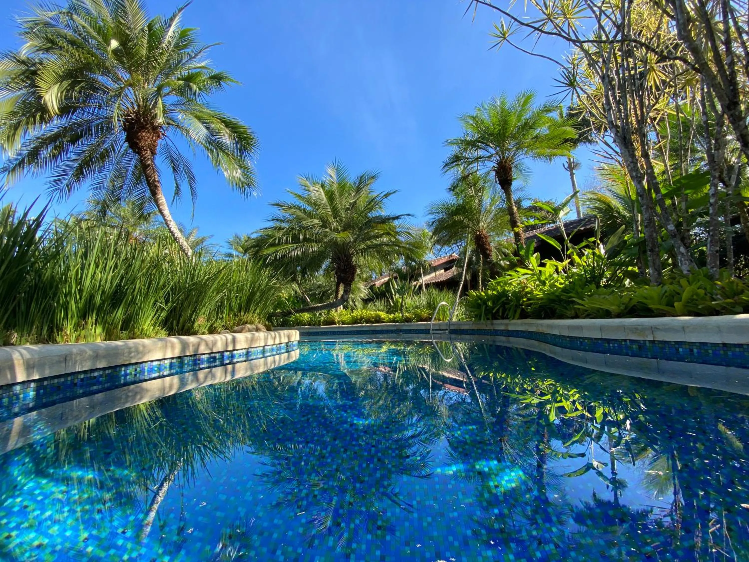 Swimming pool in Villa Bebek Hotel