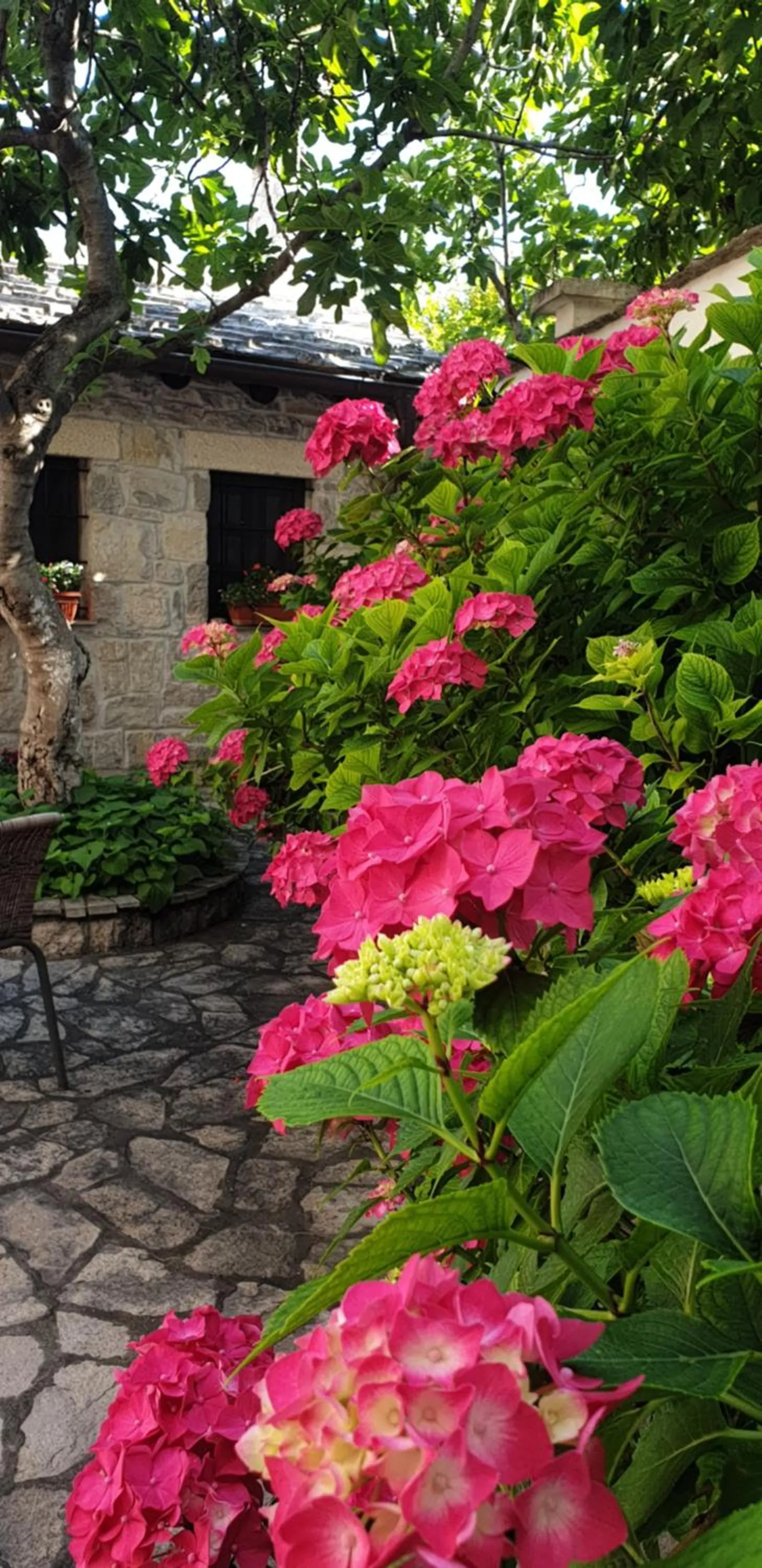 Garden view in Villa Fortuna