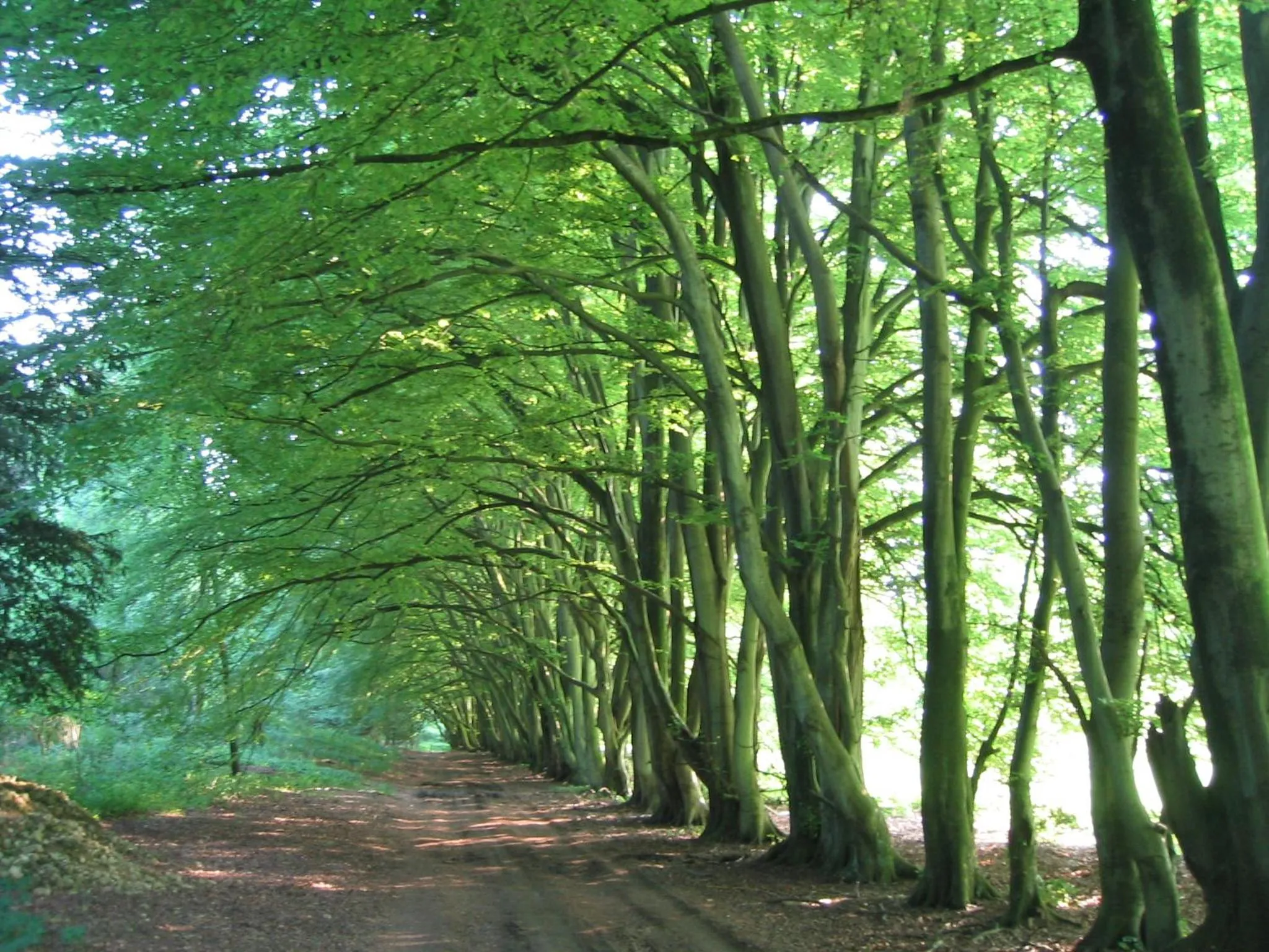 Other in Chilgrove Farm Bed & Breakfast