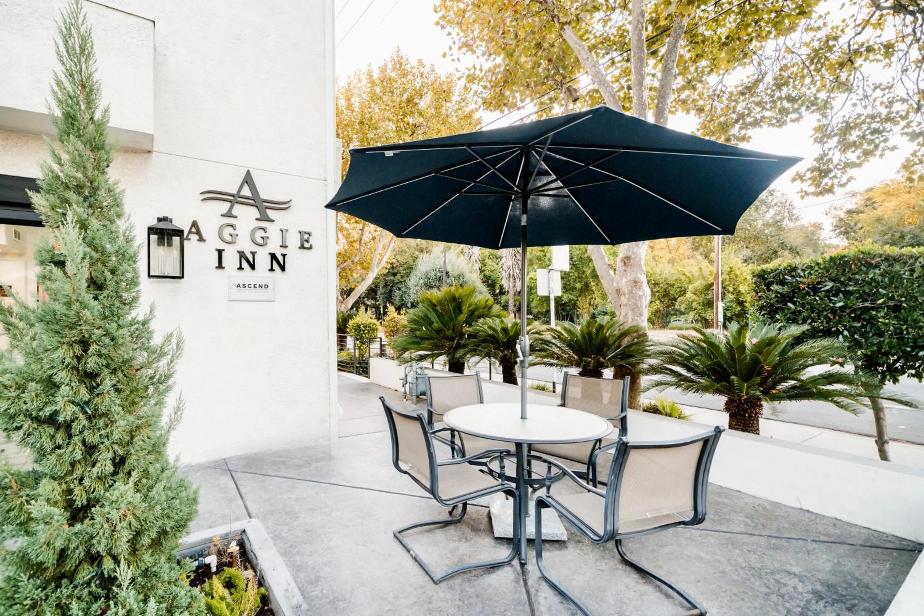 Property logo or sign in Aggie Inn, an Ascend Collection Hotel