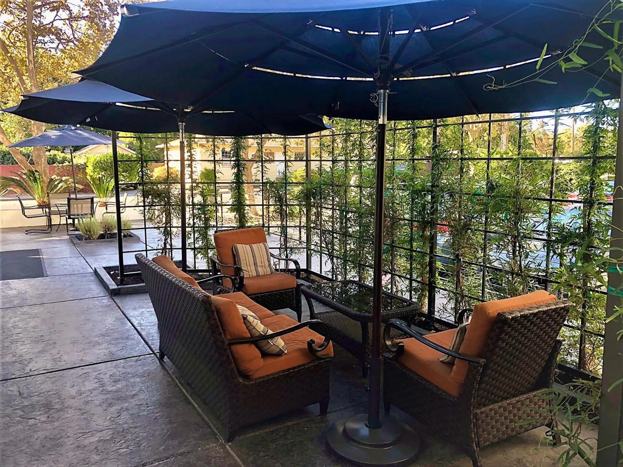 View (from property/room) in Aggie Inn, an Ascend Collection Hotel