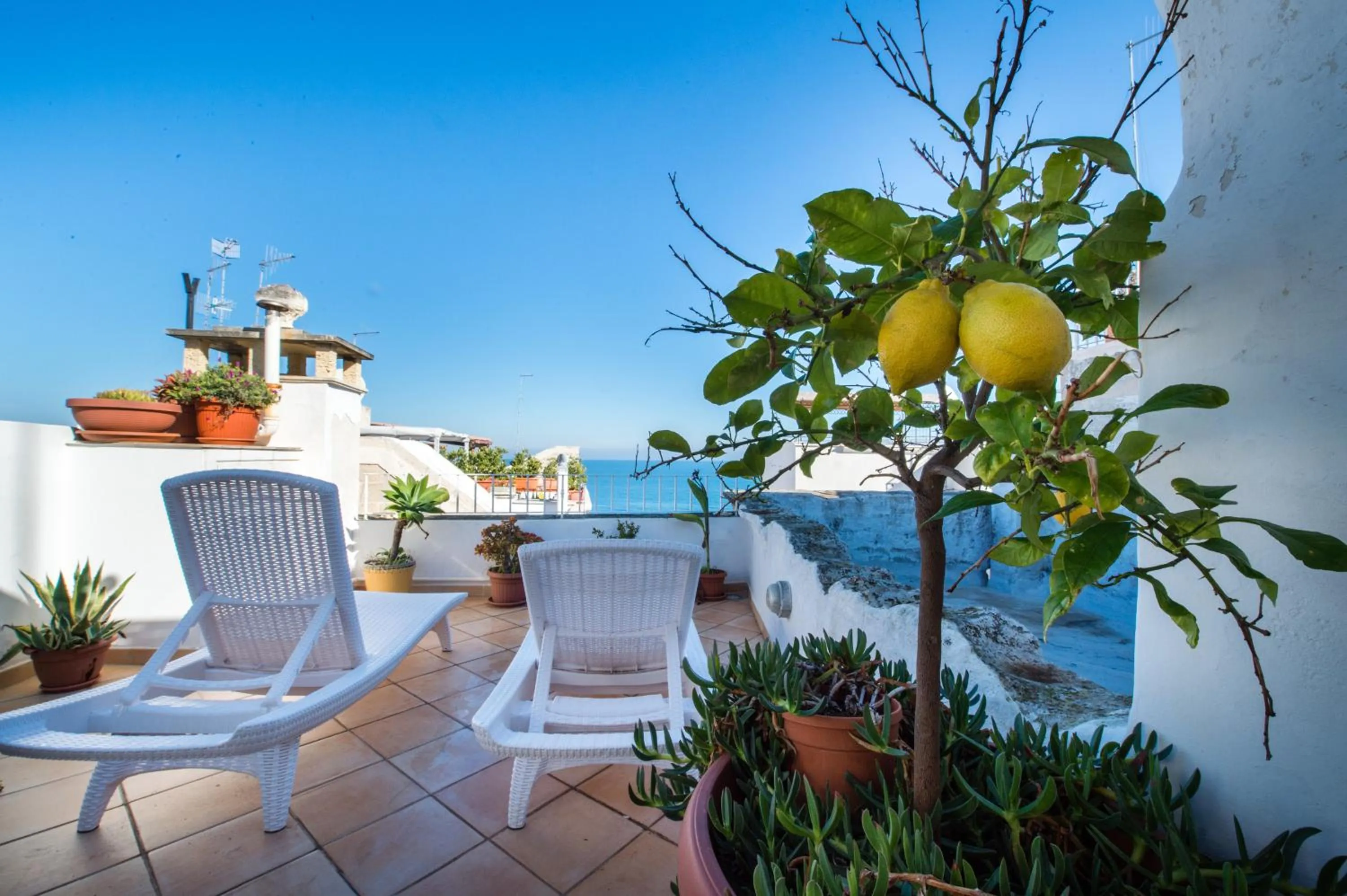 View (from property/room) in B&B Casa Dorsi