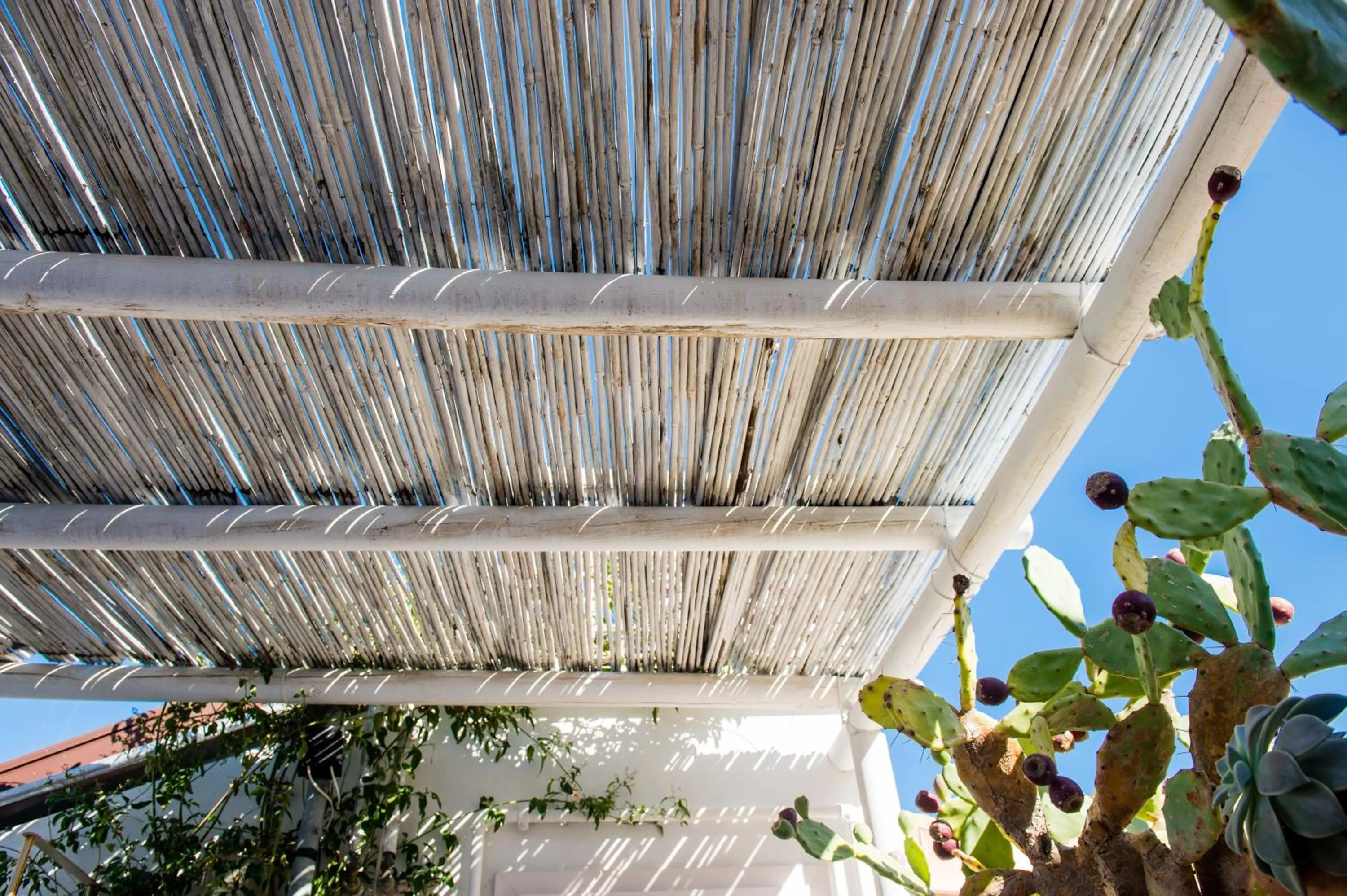 Patio in B&B Casa Dorsi