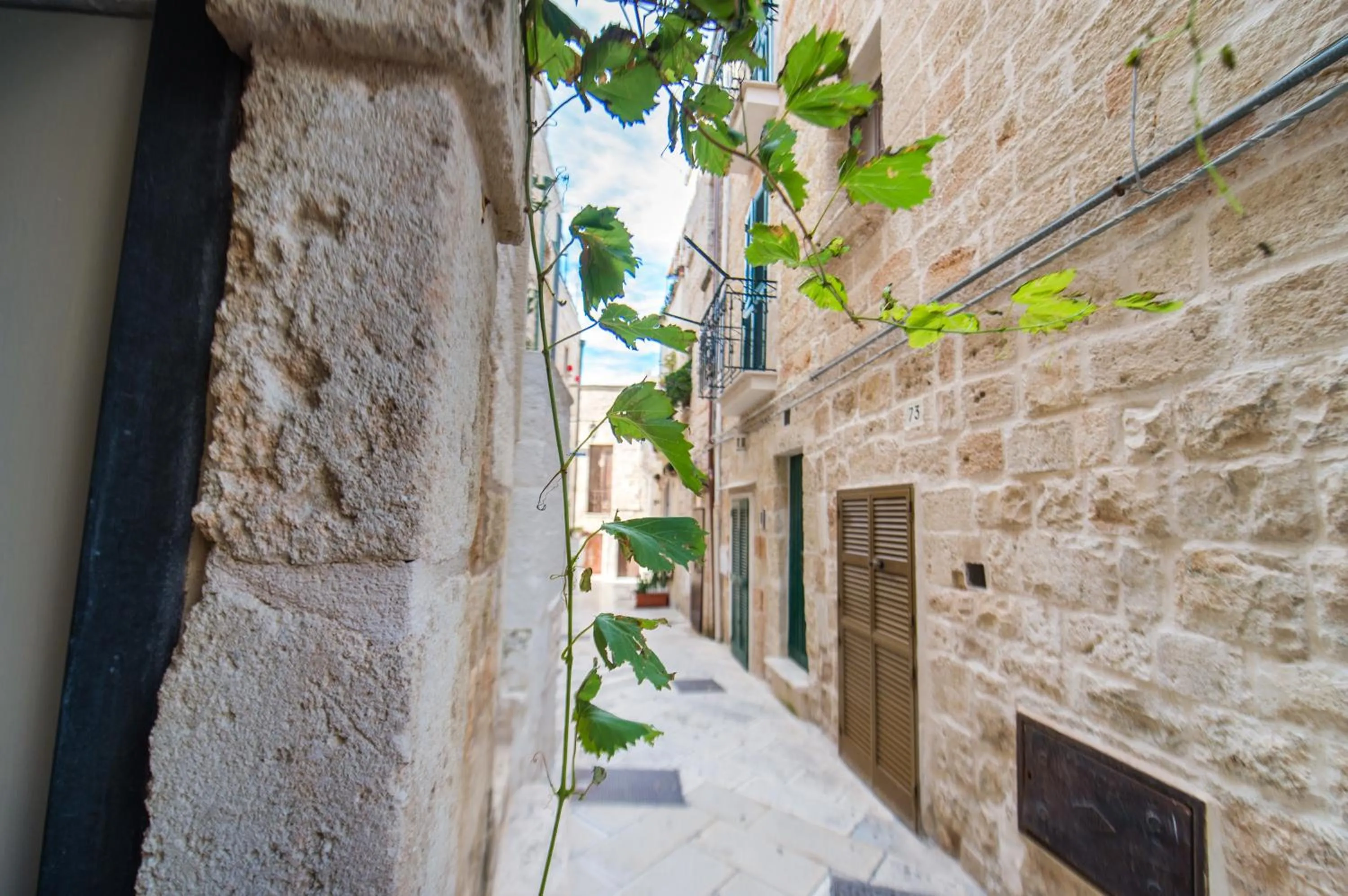 Area and facilities in B&B Casa Dorsi