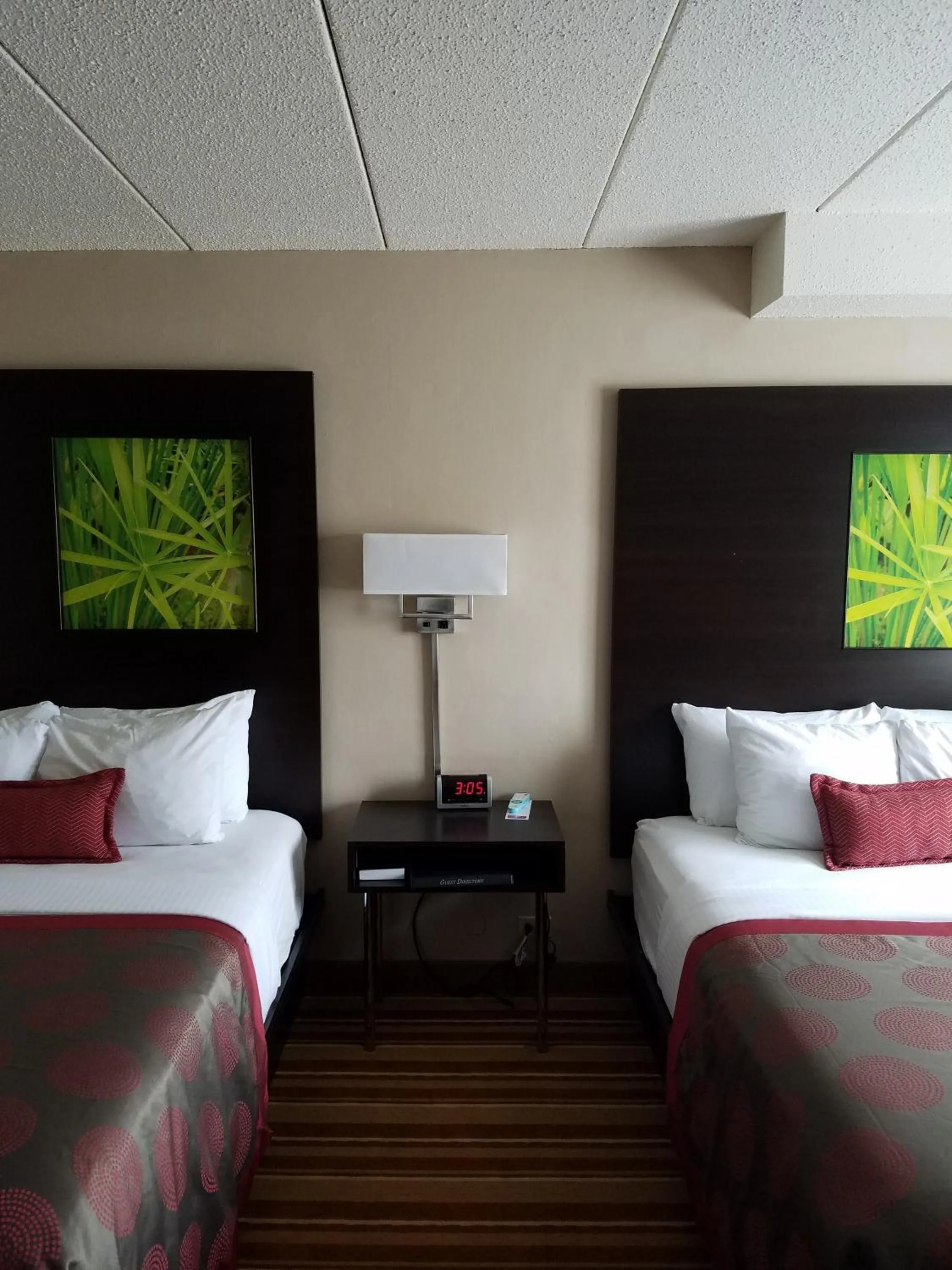 Bedroom, Bed in Ramada by Wyndham Minneapolis Golden Valley