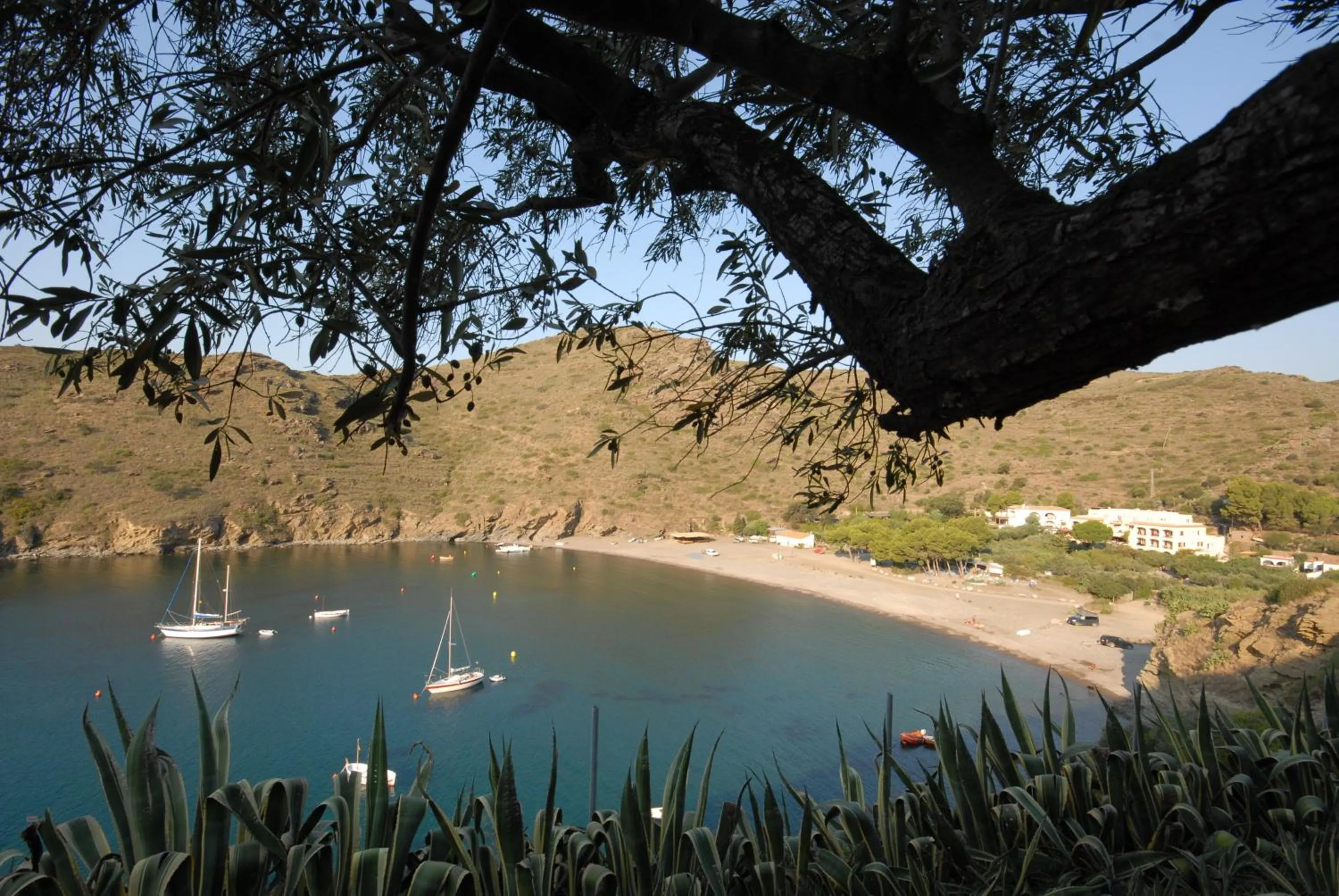 Area and facilities in Hotel Cala Joncols