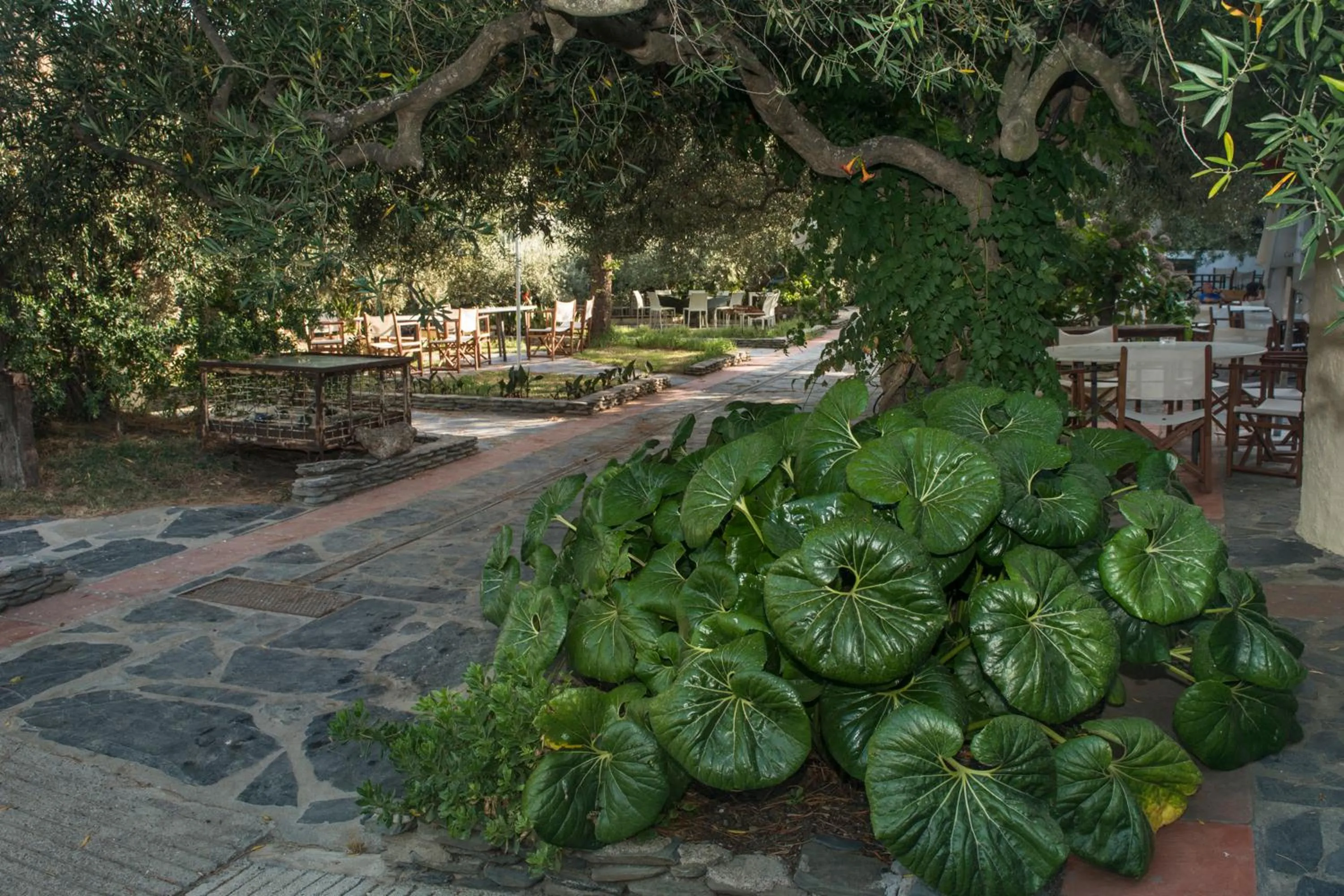 Garden view in Hotel Cala Joncols
