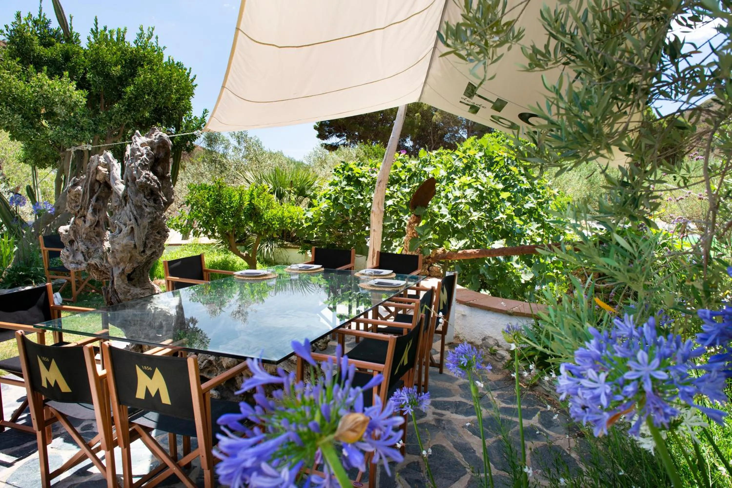 Restaurant/places to eat in Hotel Cala Joncols