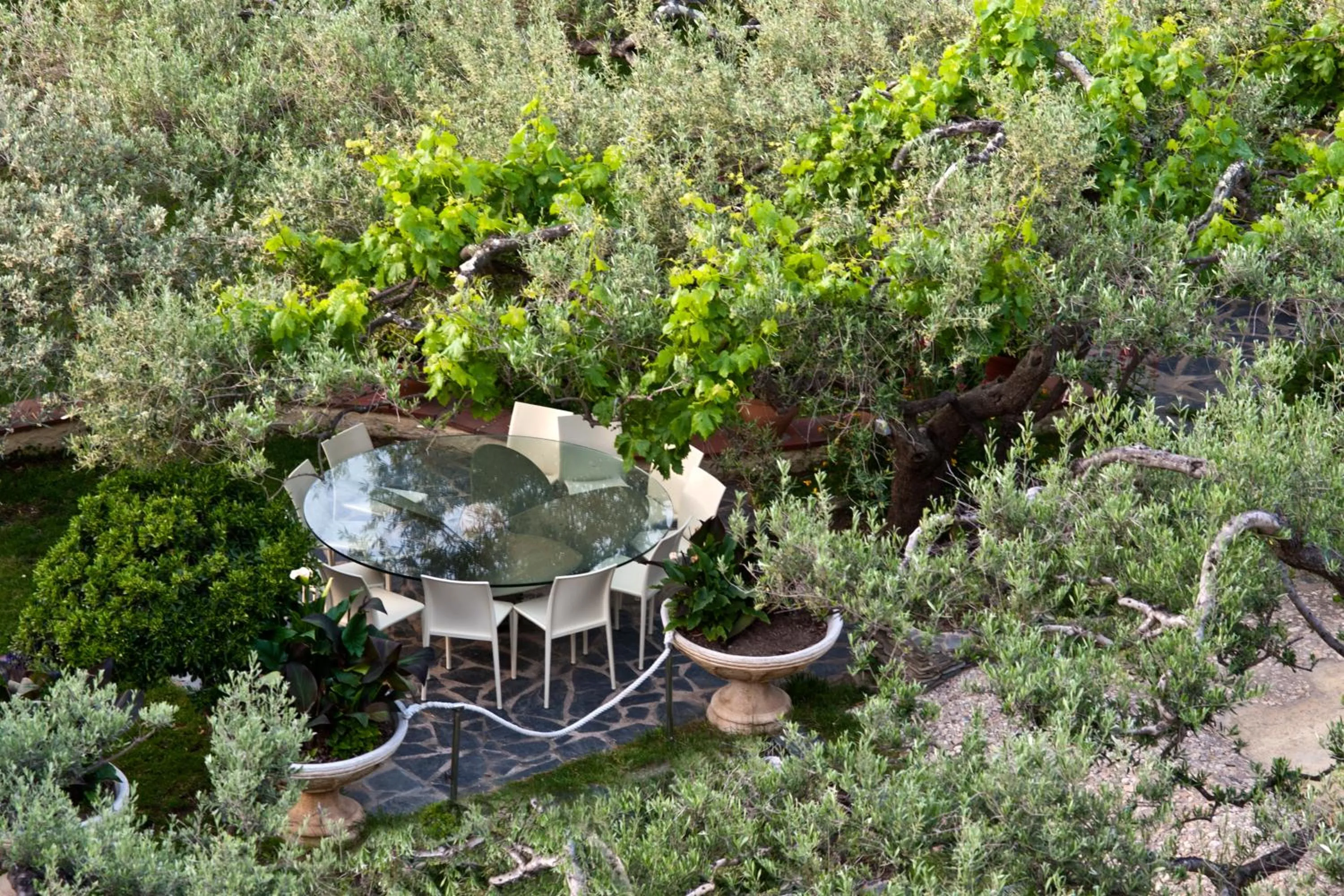 Garden in Hotel Cala Joncols