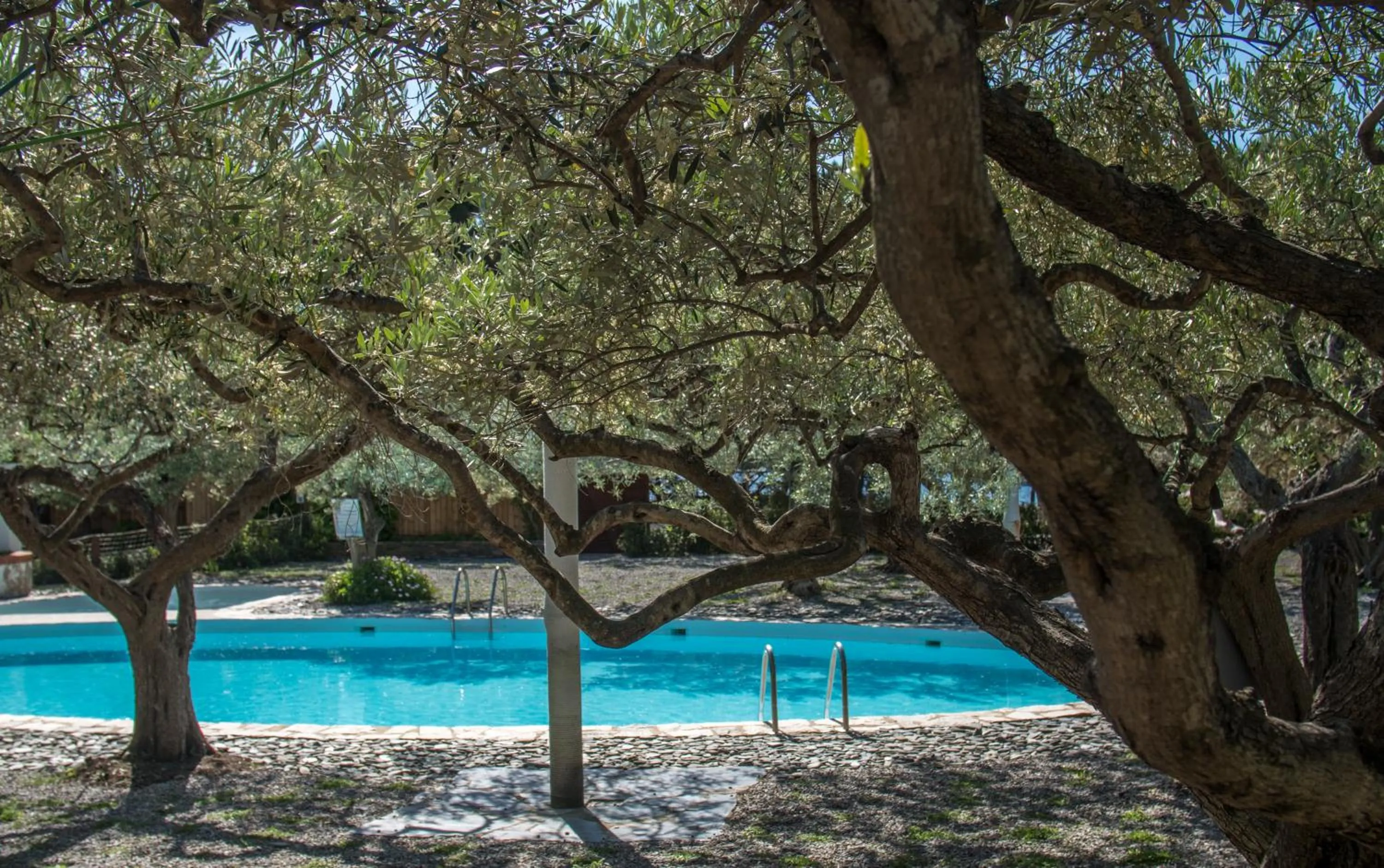Swimming pool in Hotel Cala Joncols
