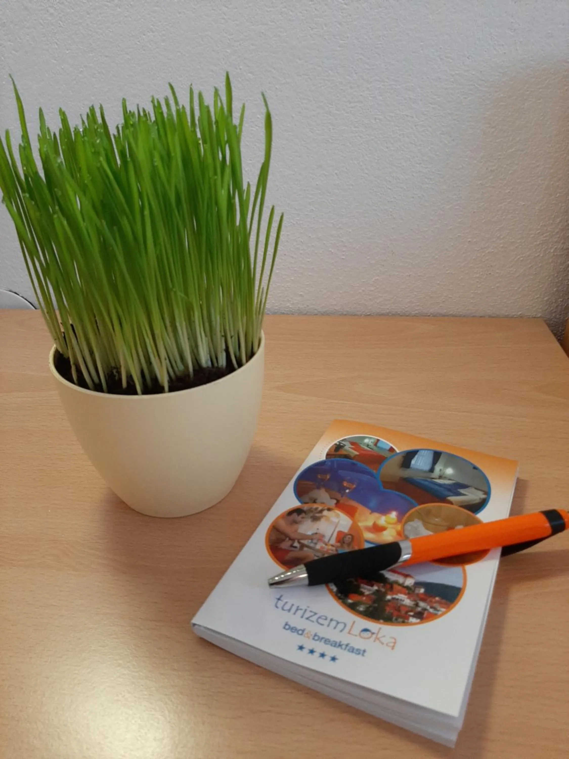 Decorative detail in Boutique Hotel Loka