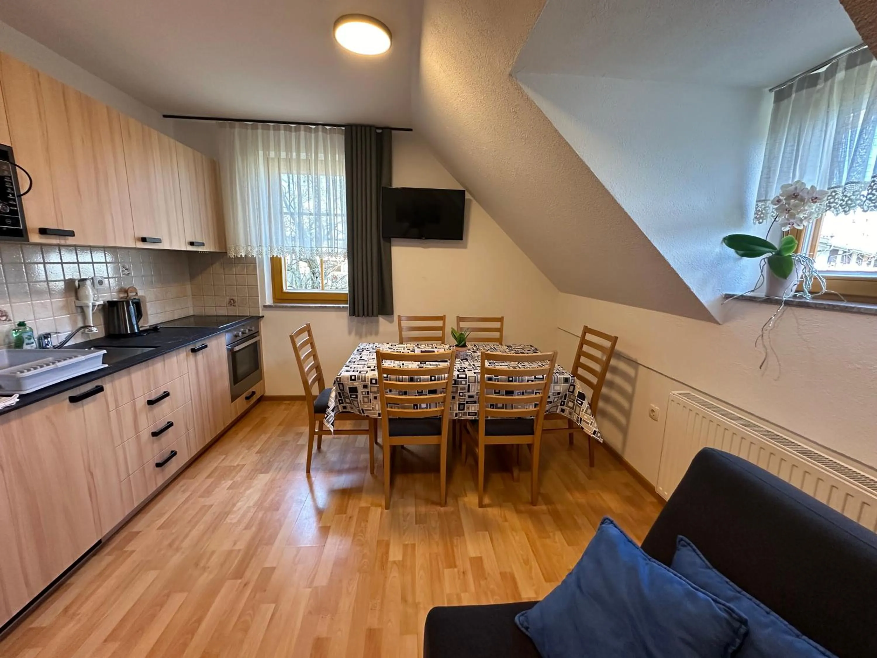 Kitchen or kitchenette in Boutique Hotel Loka