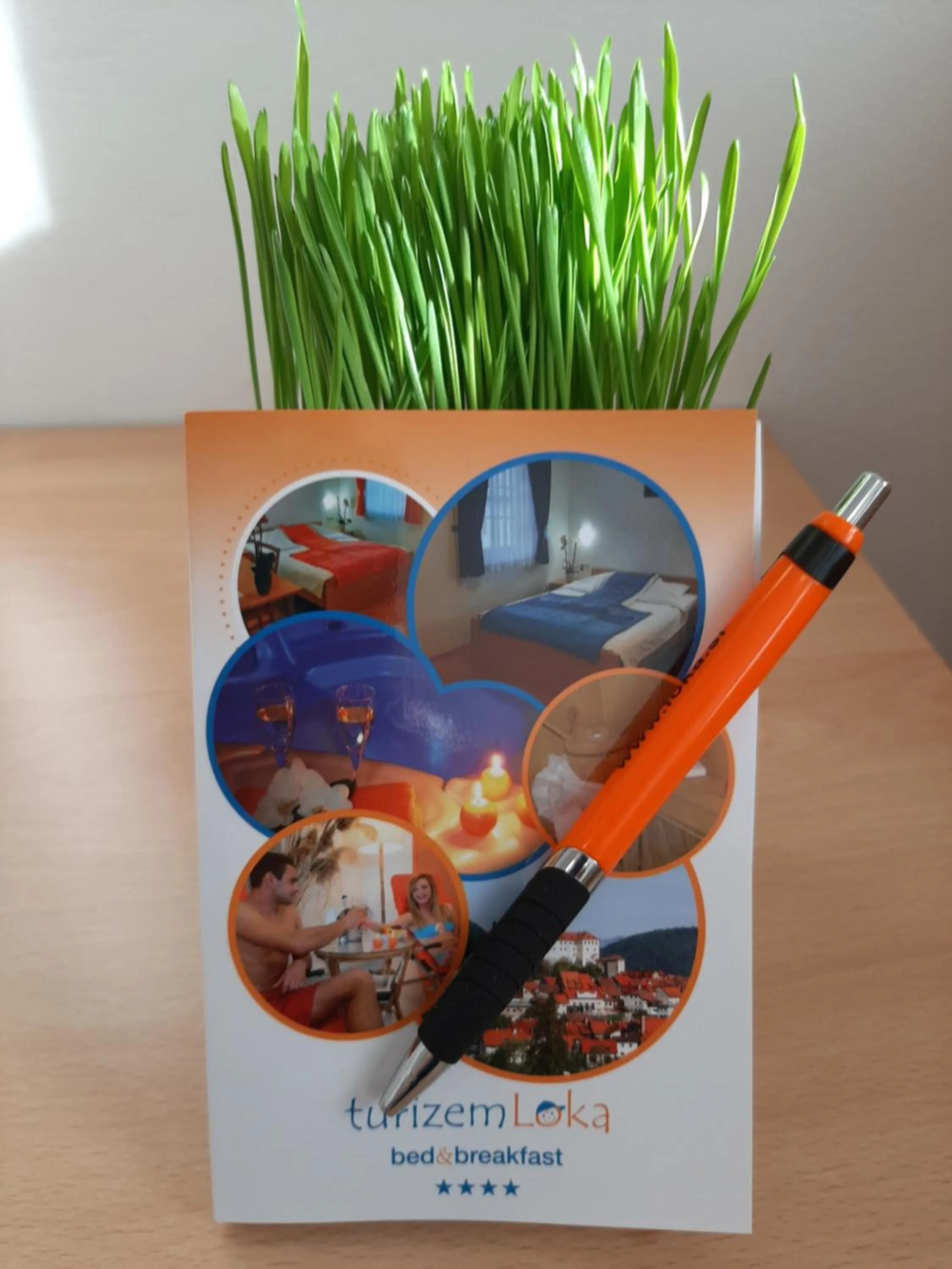 Decorative detail in Boutique Hotel Loka