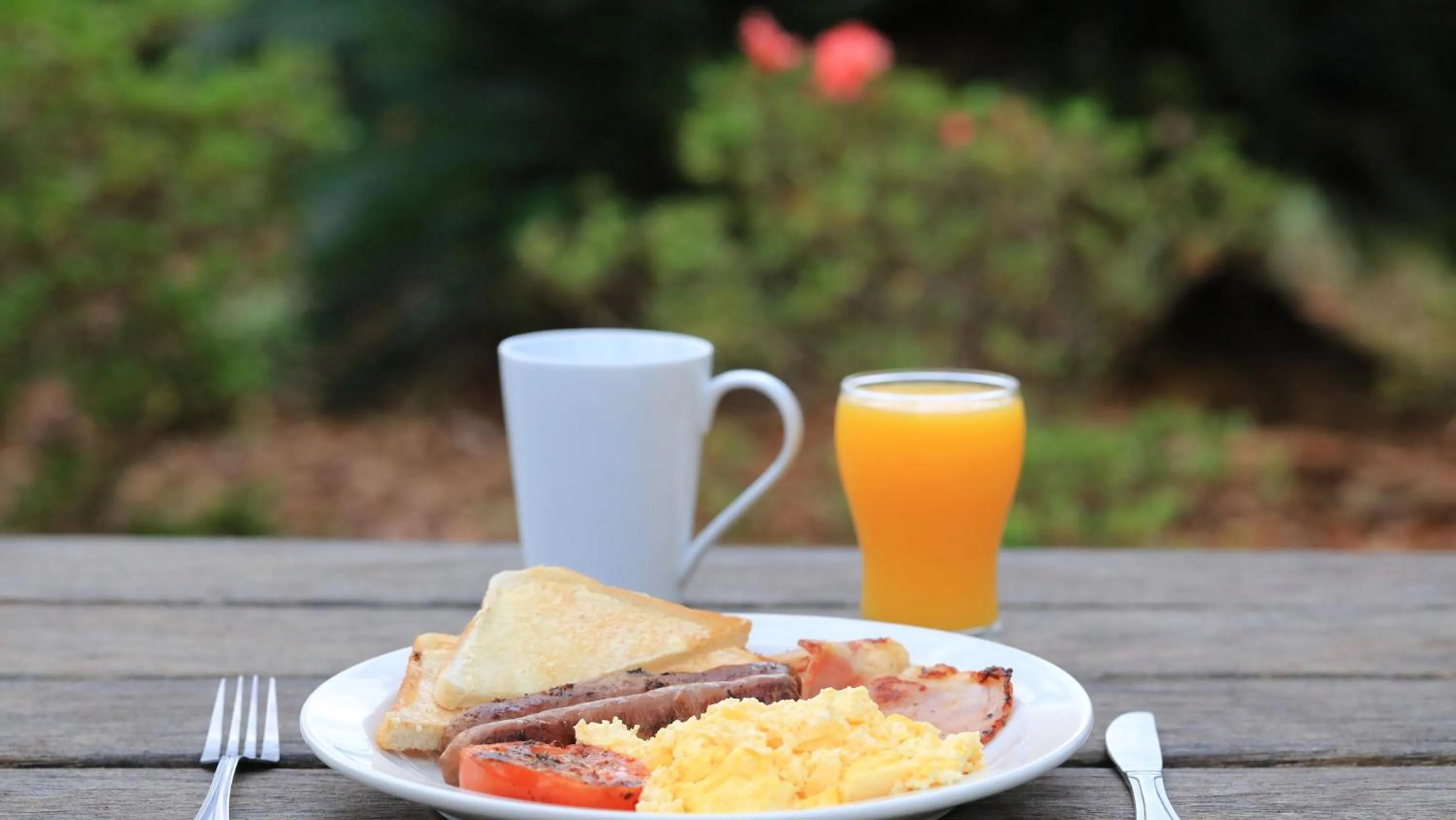 Breakfast in Kempsey Powerhouse Motel