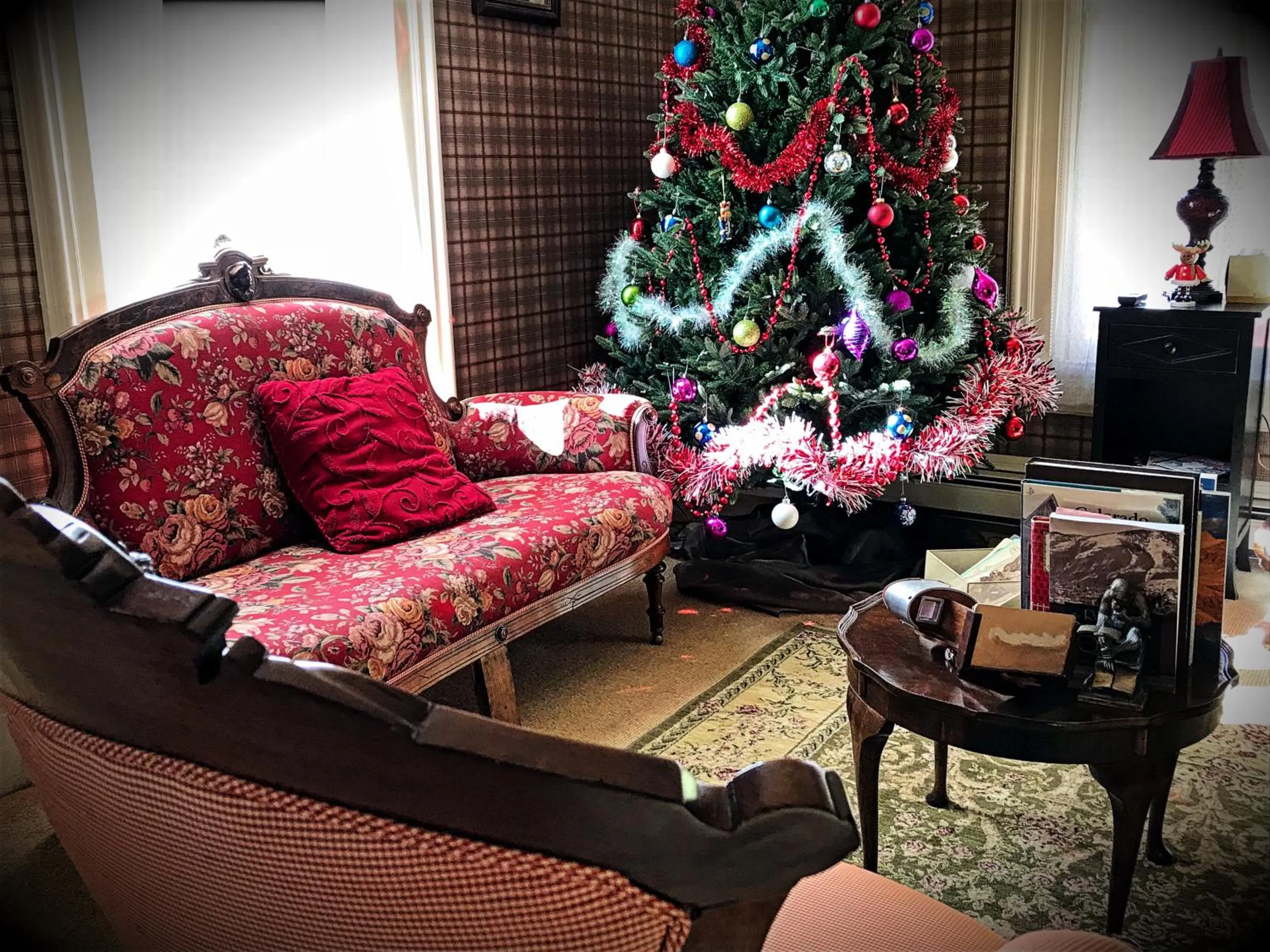 Library in Rose Street Bed & Breakfast