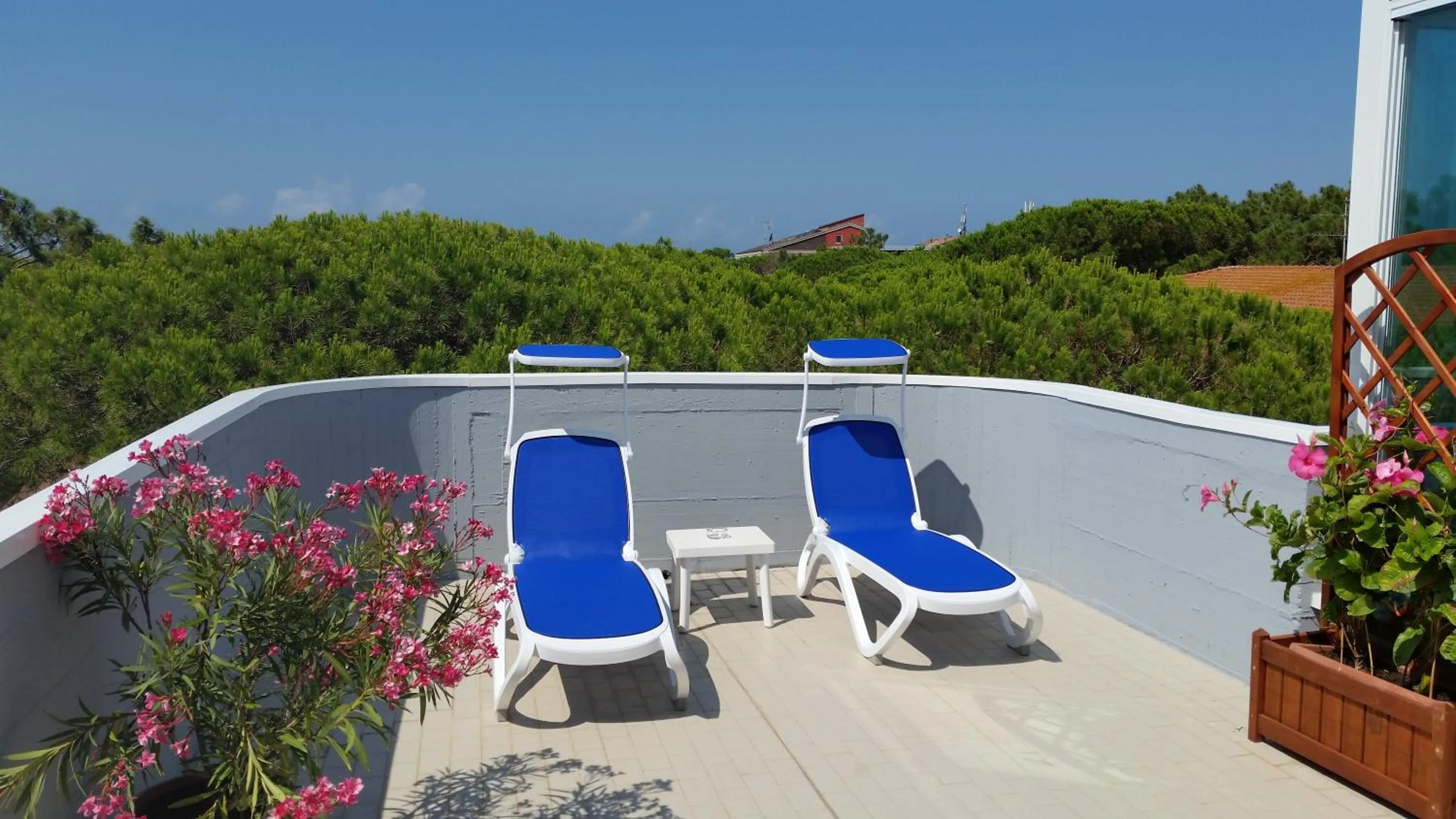 Solarium in Mareblù - Tuscany Green Aparthotel