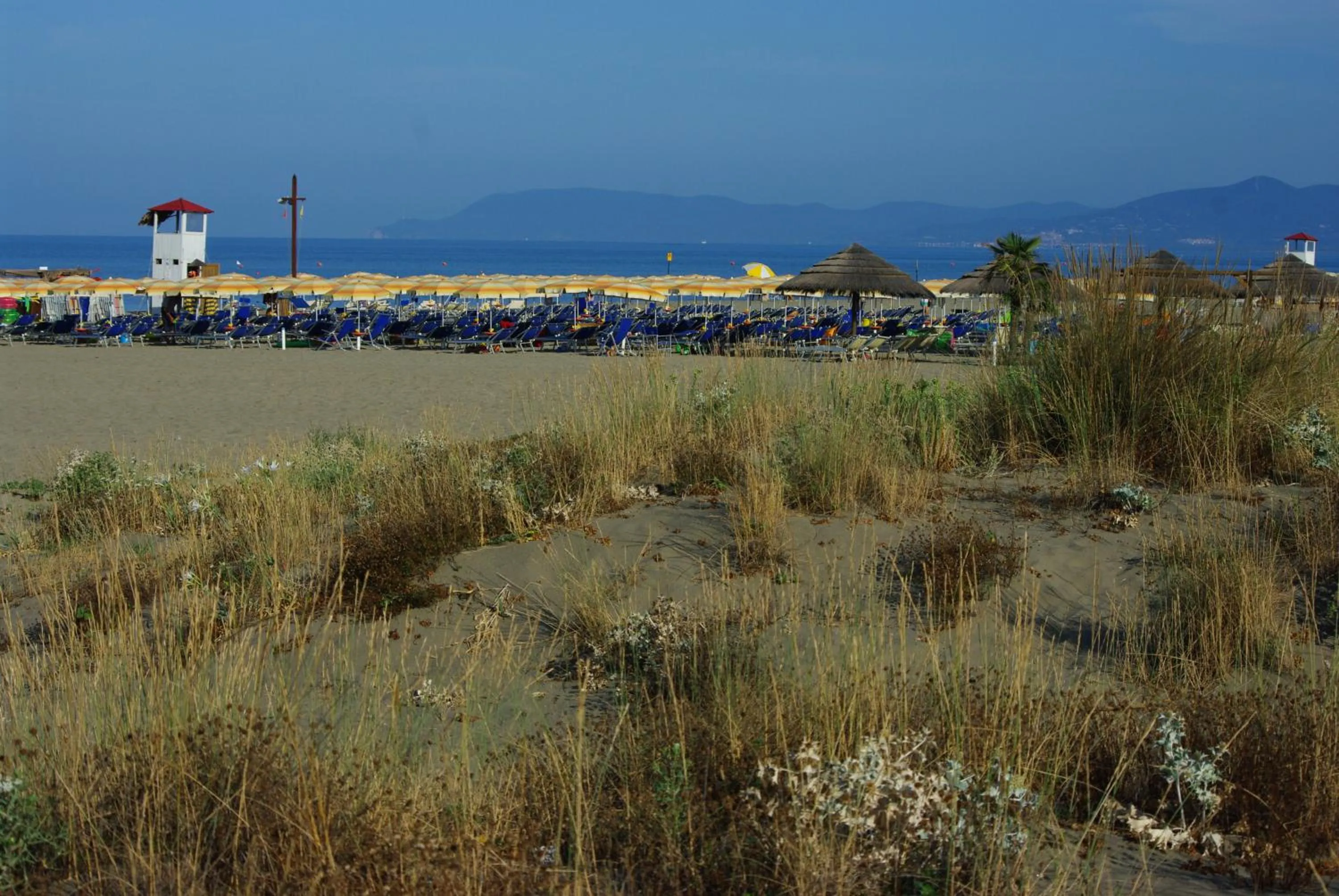 Beach in Mareblù - Tuscany Green Aparthotel