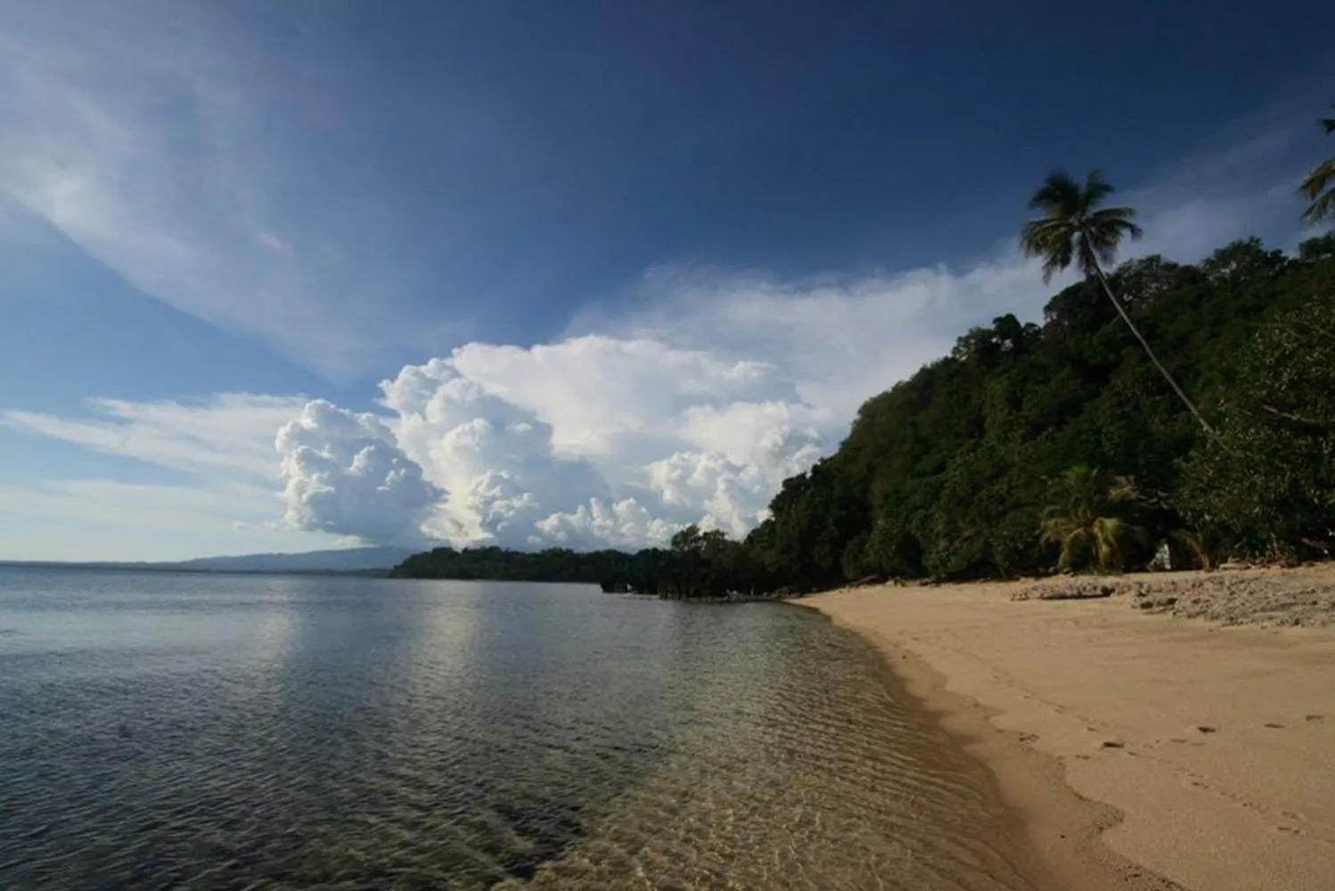 Beach in Kookoo's nest eco-lodge