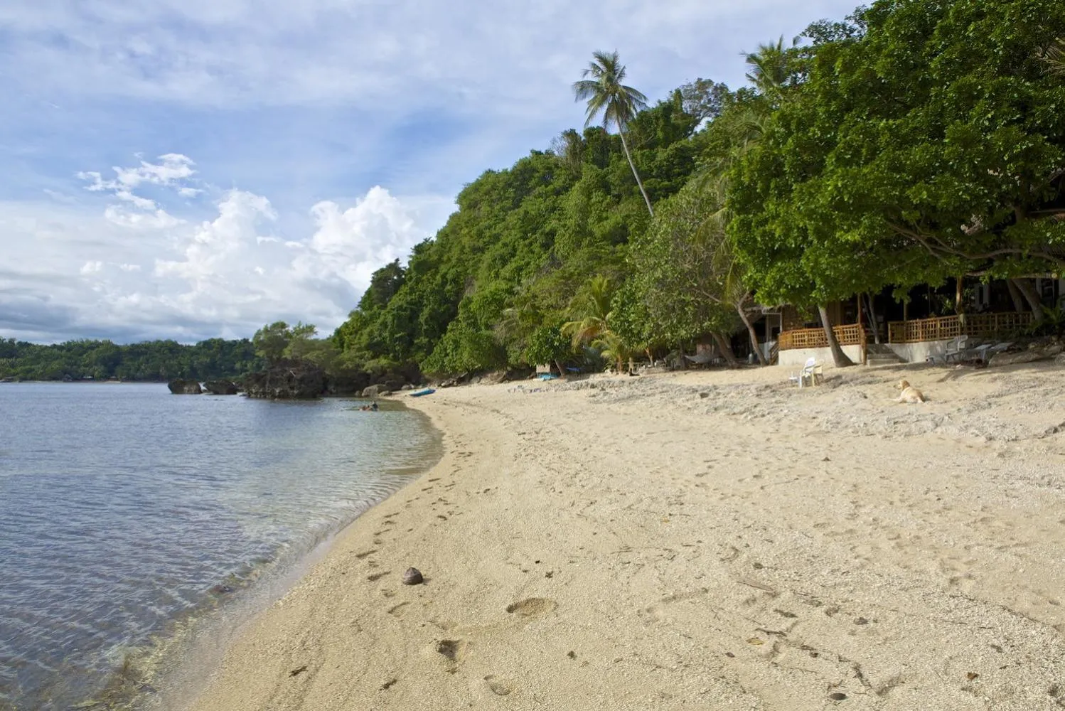 Beach in Kookoo's nest eco-lodge