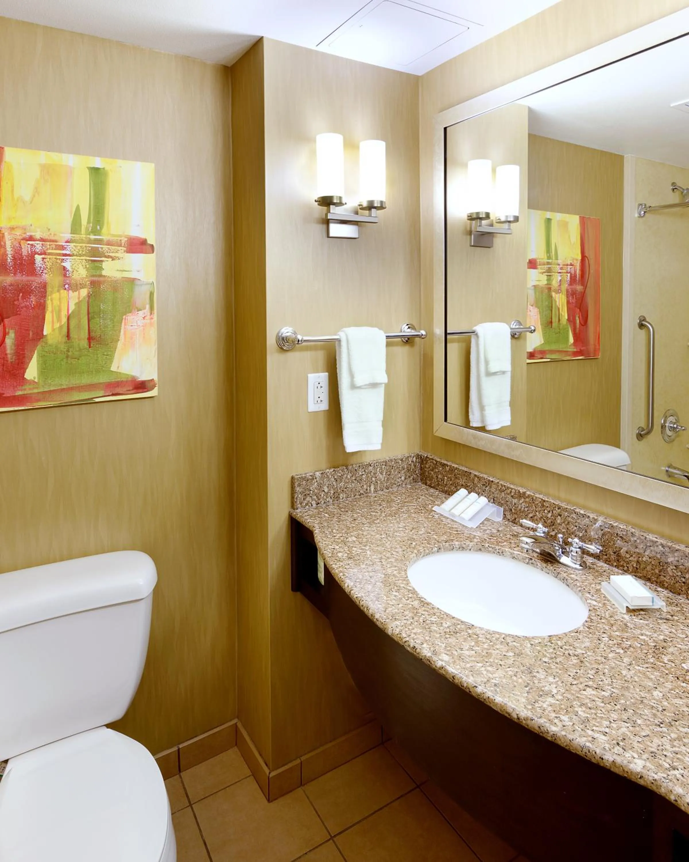 Bathroom in Hilton Garden Inn Springfield, MO