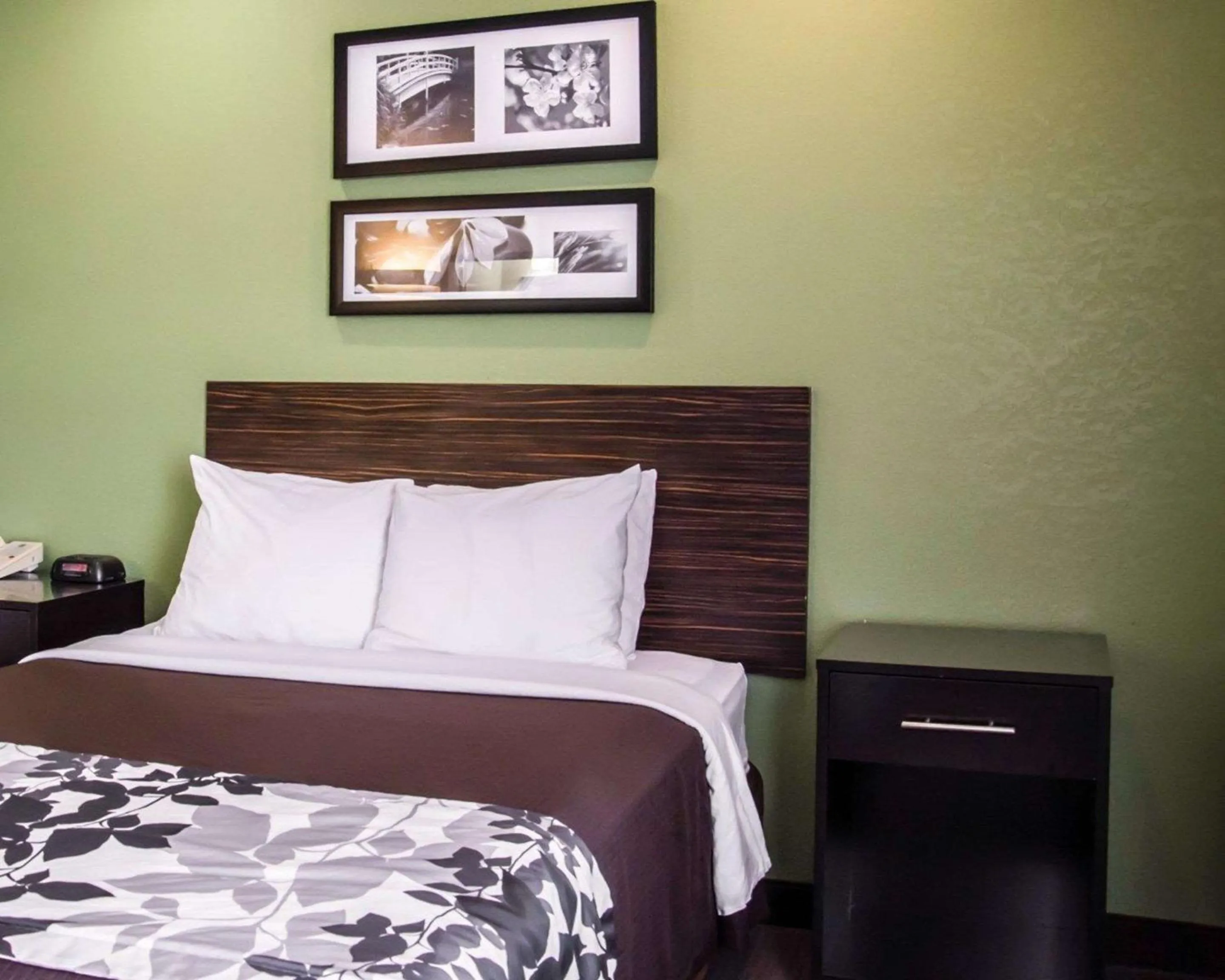 Photo of the whole room, Bed in Sleep Inn Concord - Kannapolis