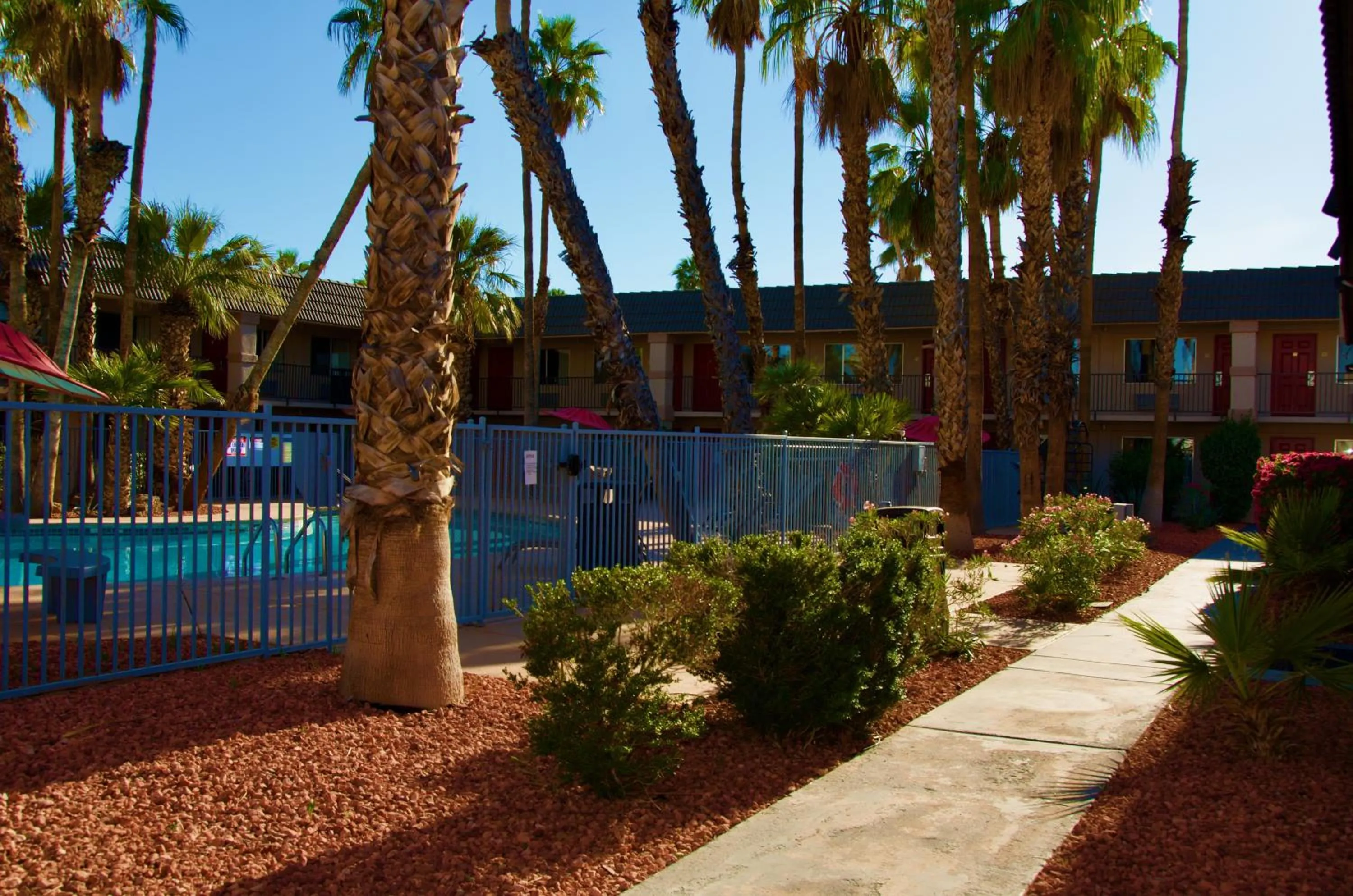 Swimming pool in Ramada by Wyndham Yuma