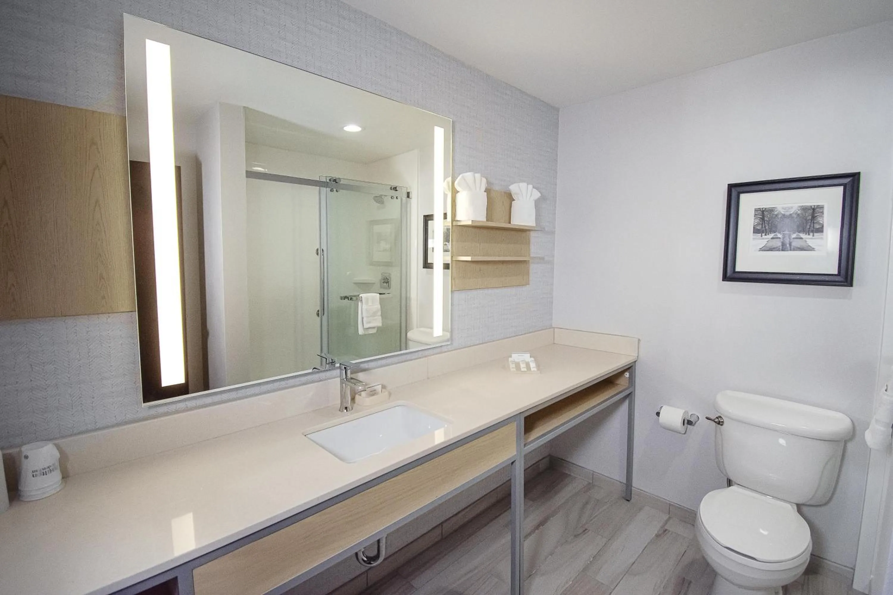 Bathroom in Hilton Garden Inn South Bend