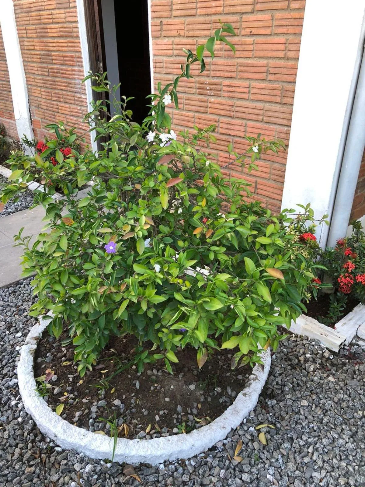 Pousada Vale do Gravatá