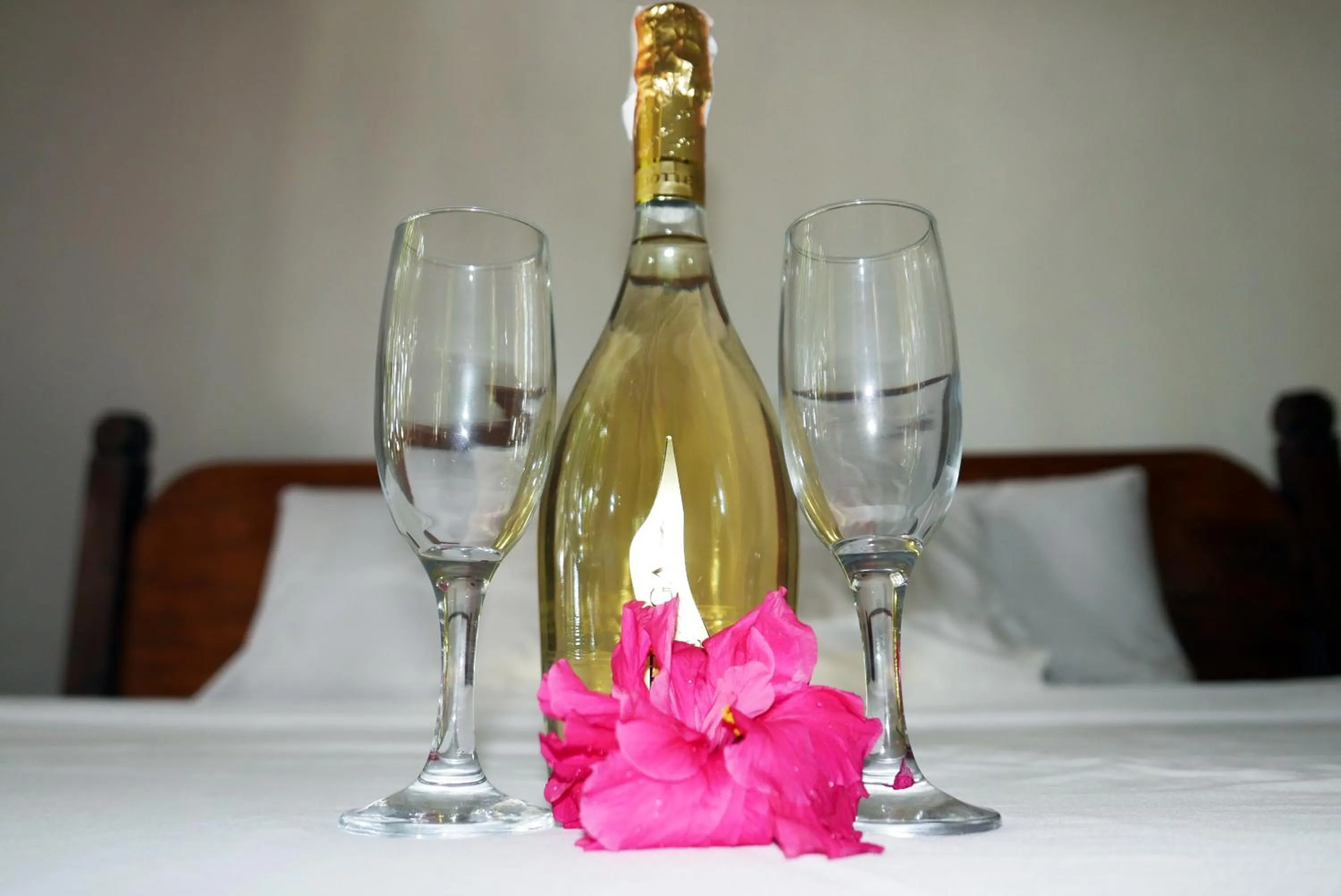 Dolarog Beach Resort