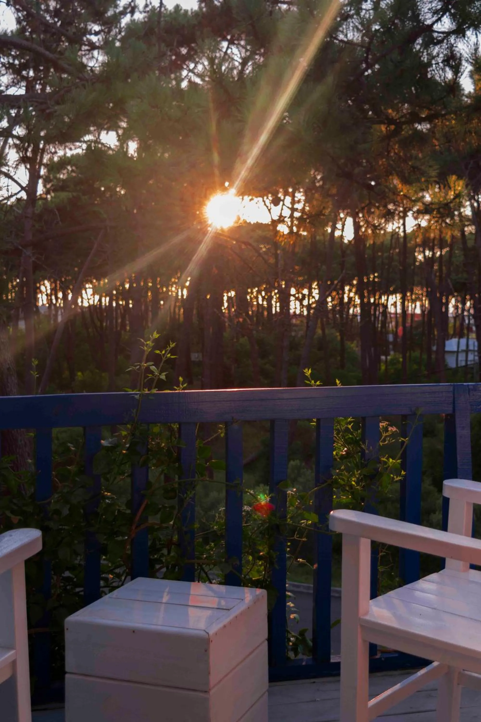 Street view in Kalá Hotel Boutique