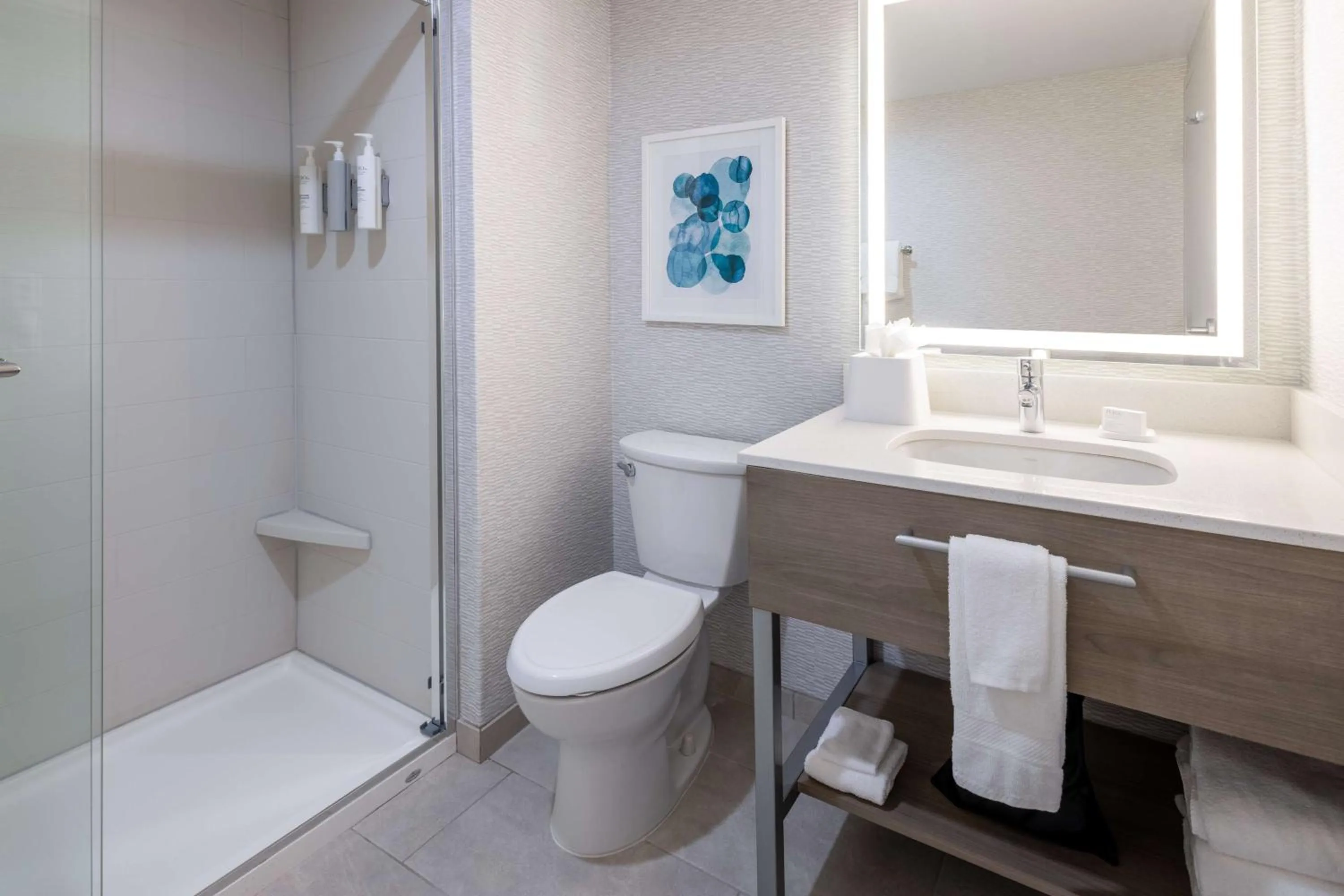 Bathroom in Hampton Inn & Suites Venice Bayside South Sarasota